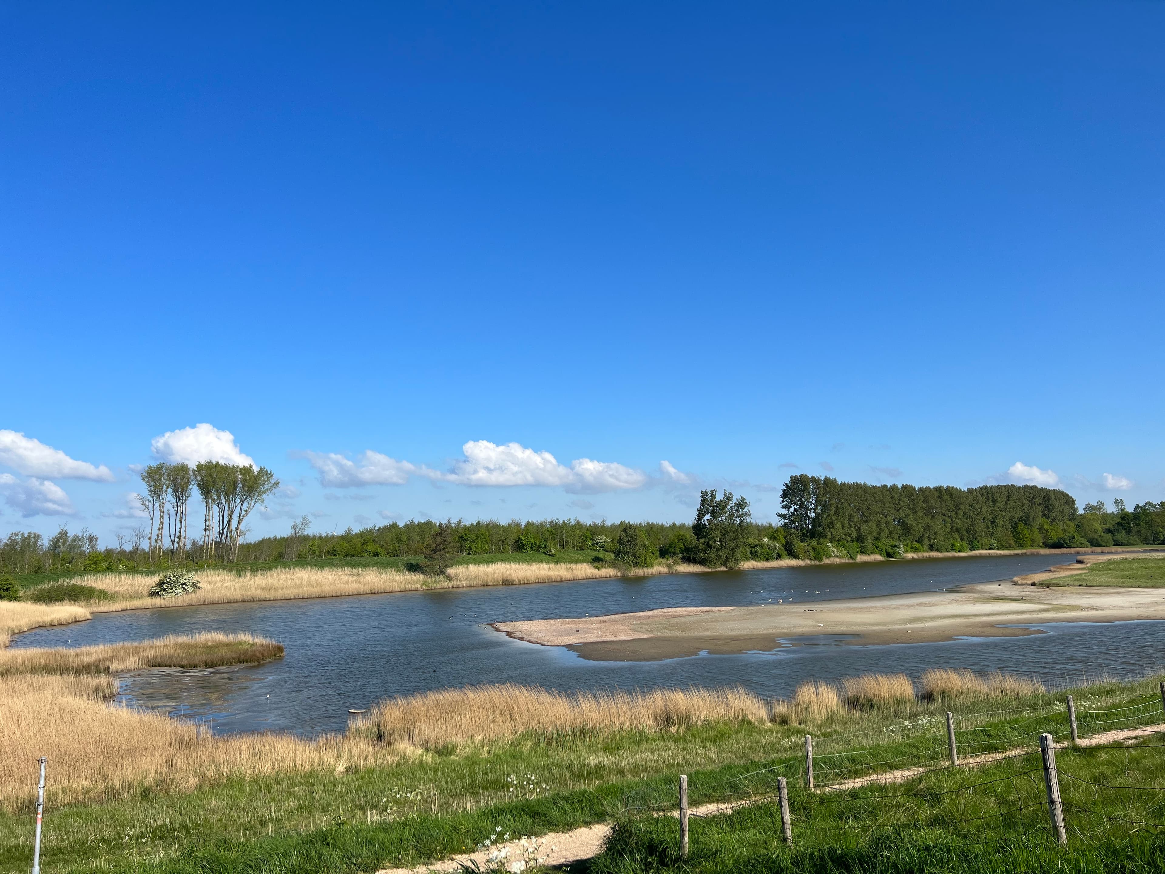A scenery from Vakantiepark De Zeeuwse Parel