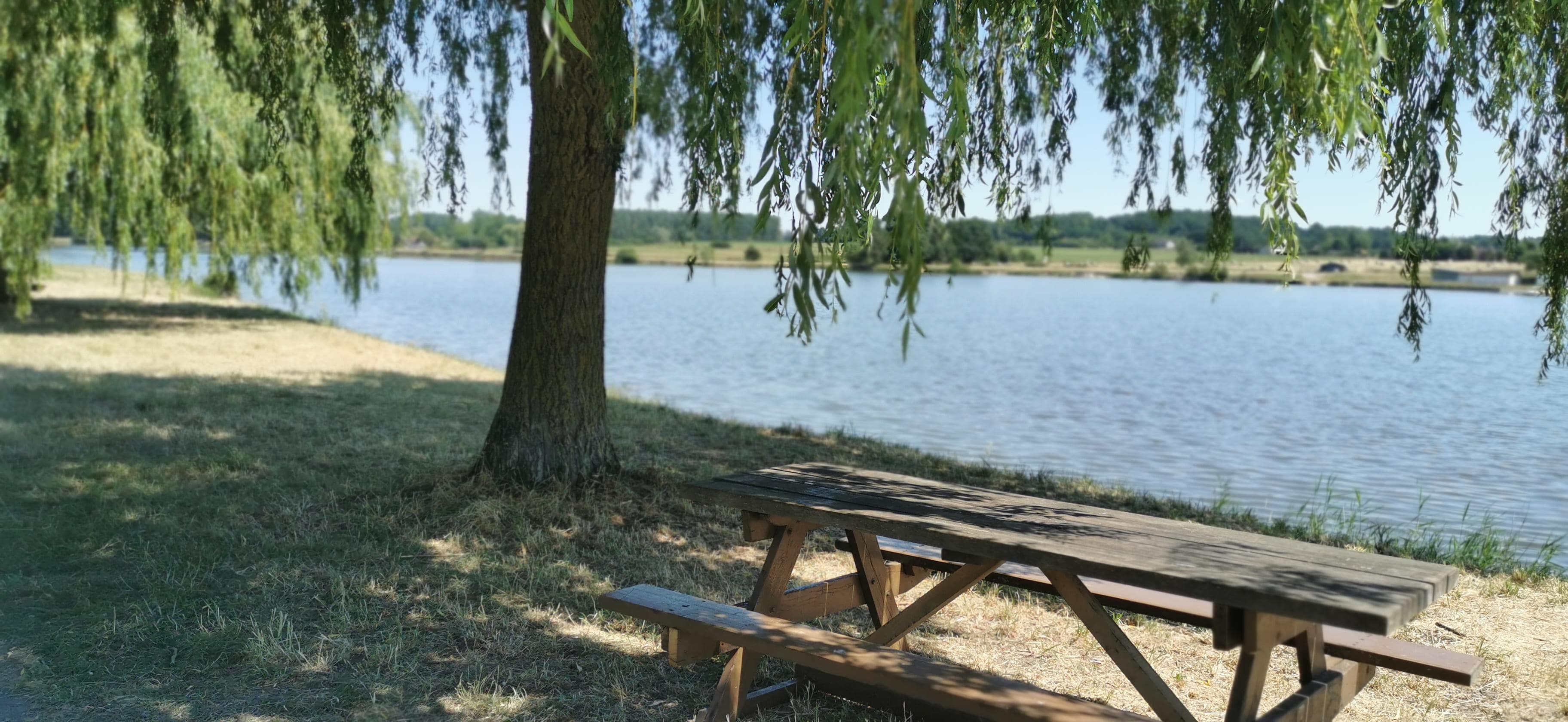 A scenery from Camping de la Plage