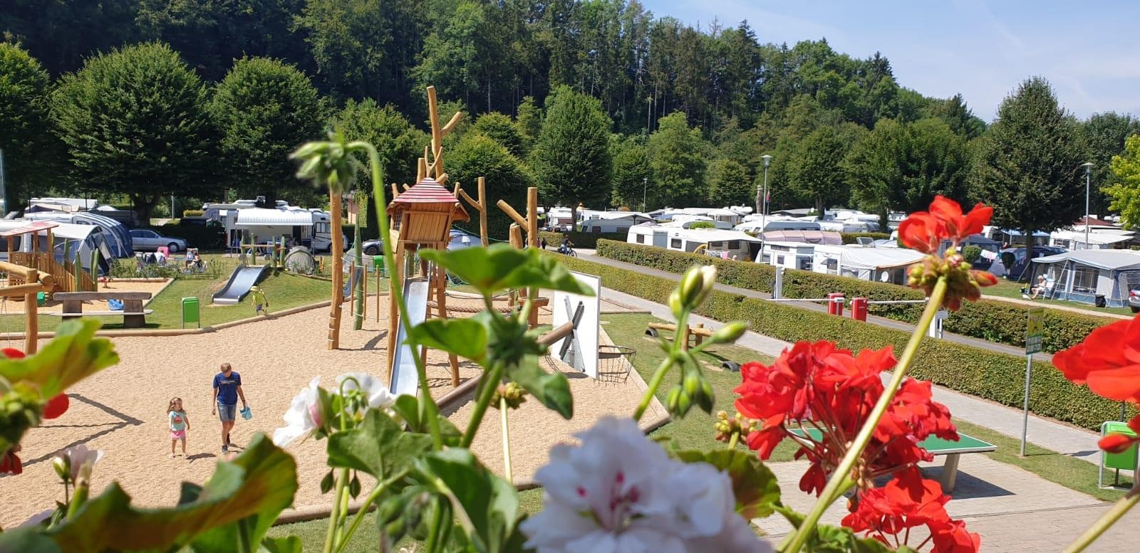 A scenery from Prümtal-Camping Oberweis