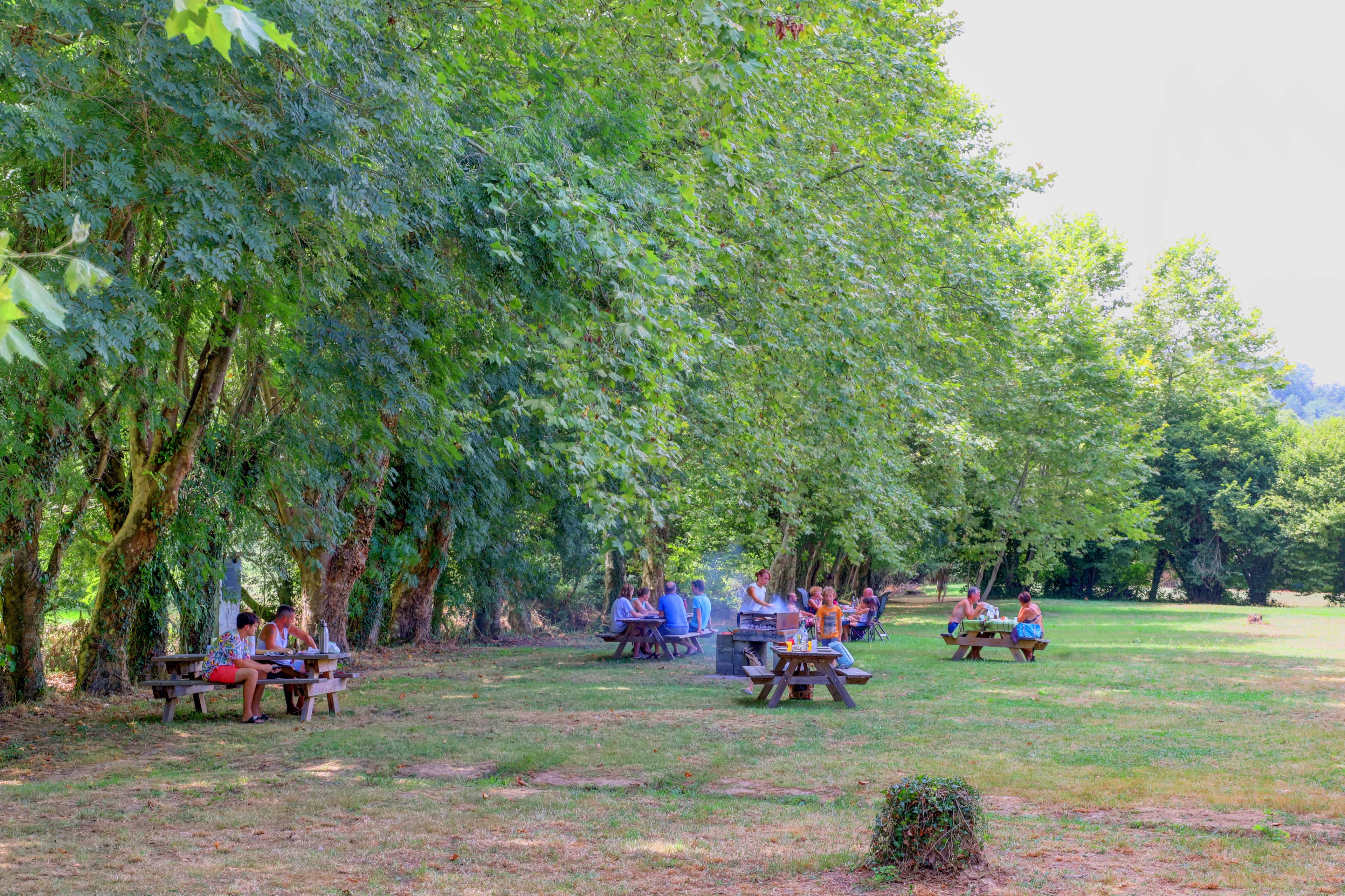 A scenery from Camping Ibarron