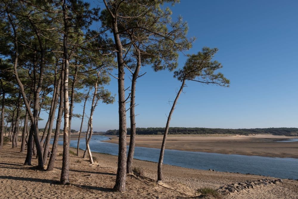 A scenery from Camping Les Flots de l'Océan