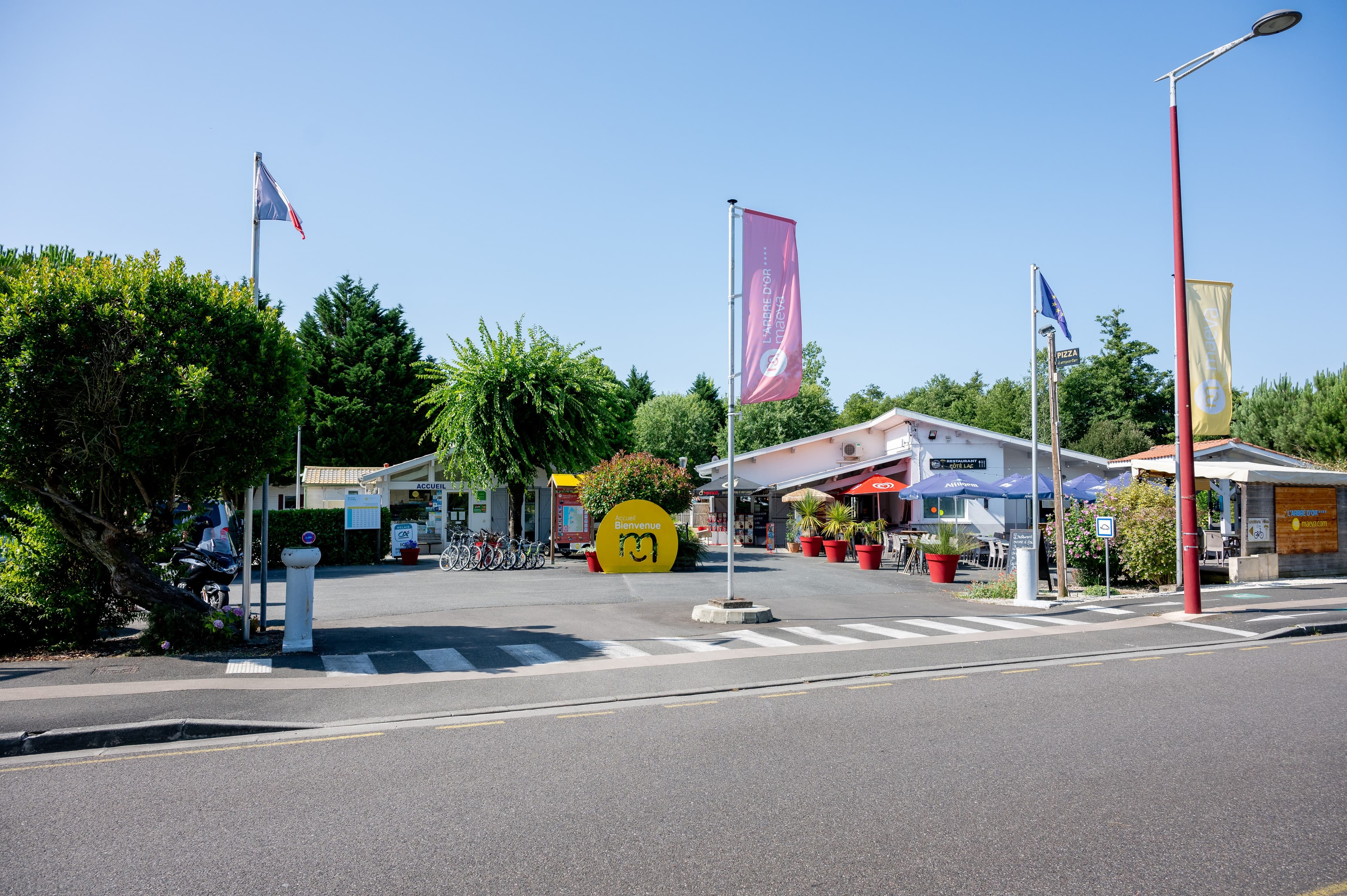 A scenery from Camping L'Arbre d'Or