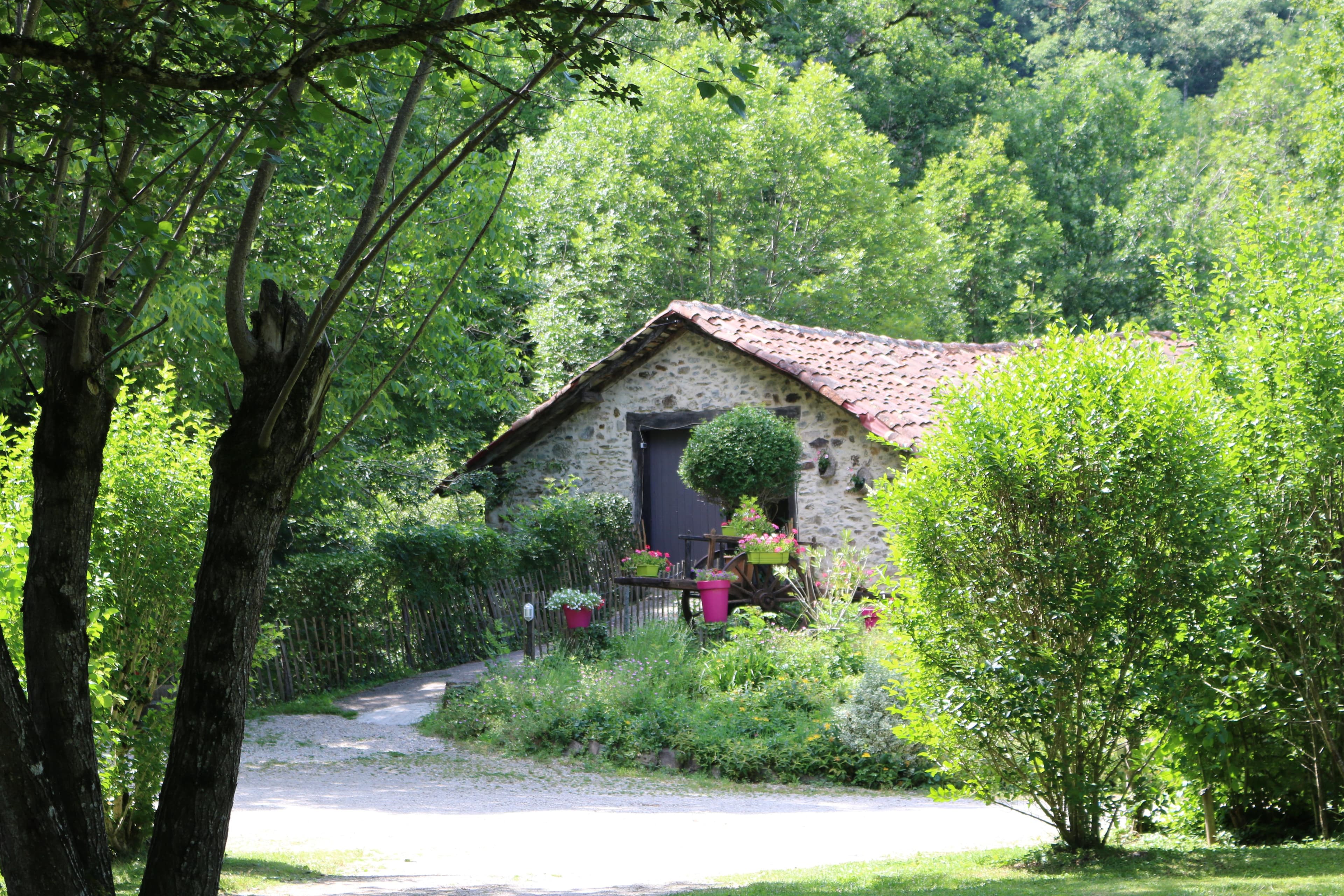 A scenery from Camping Moulin de Chaules