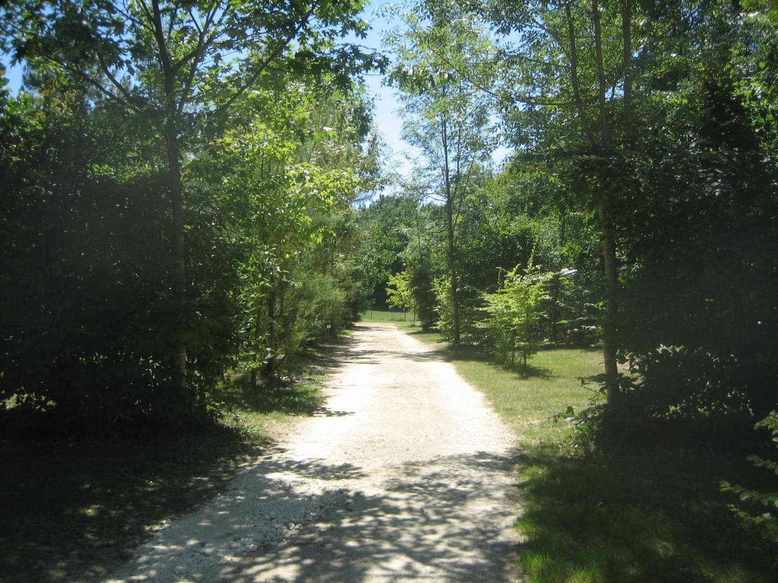 A scenery from Camping de Bergougne