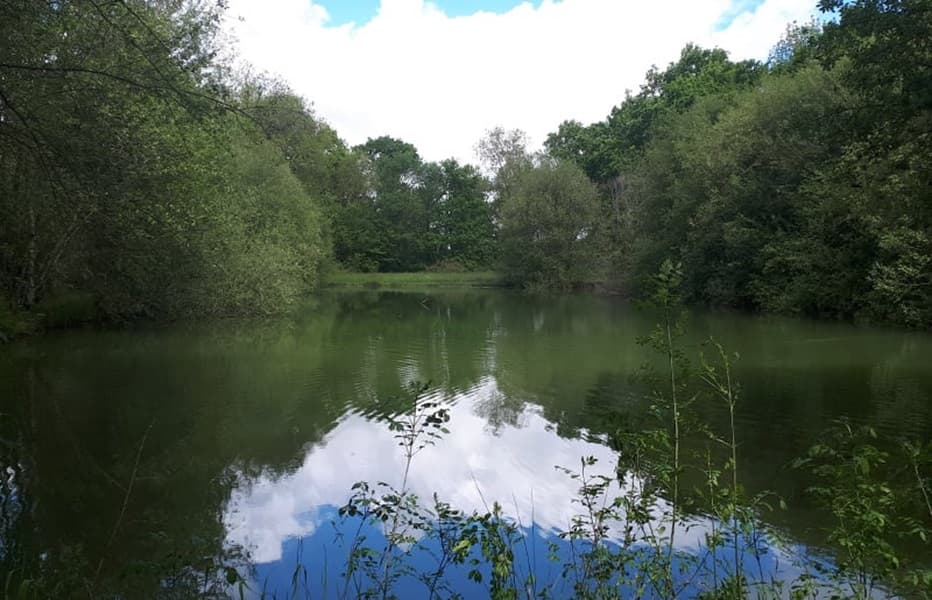 A scenery from Camping de Bergougne