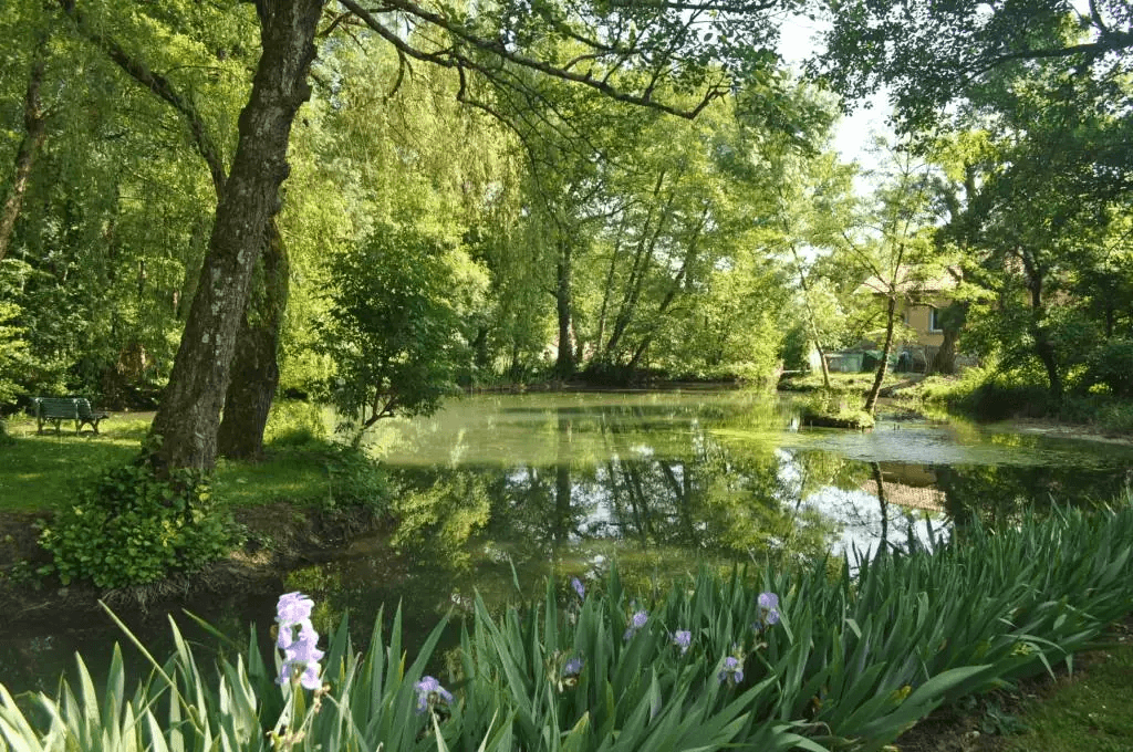 A scenery from Camping Le Moulin de Mellet