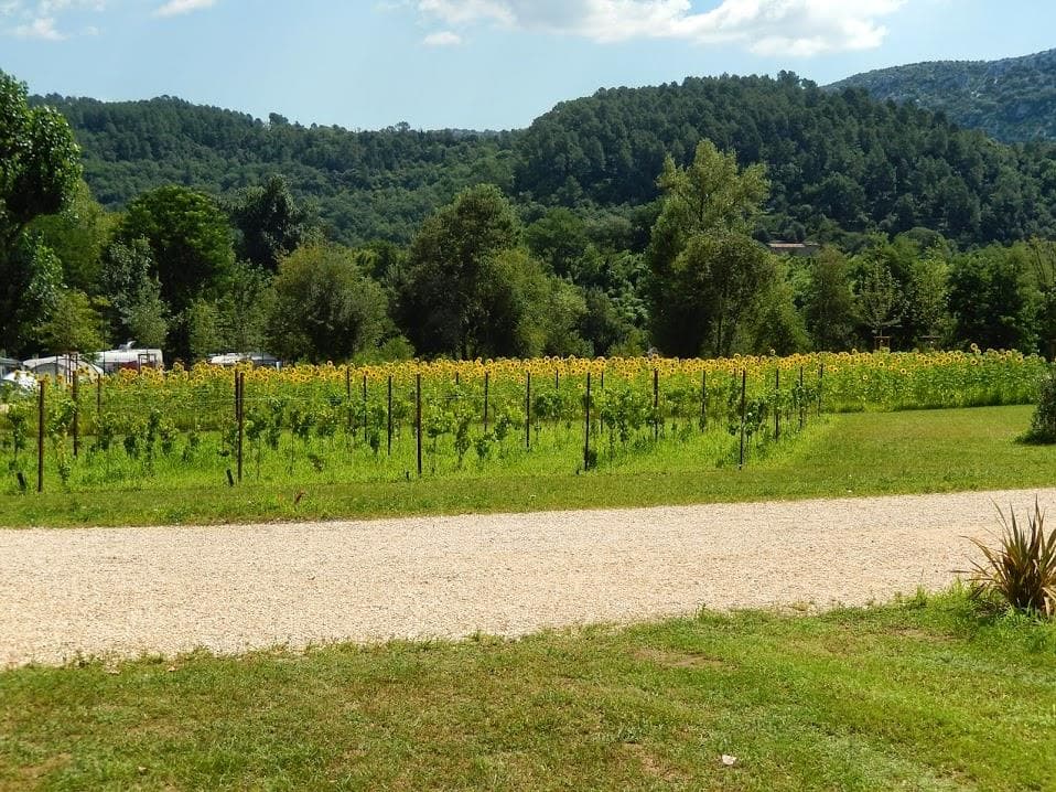 A scenery from Camping de L'Arche