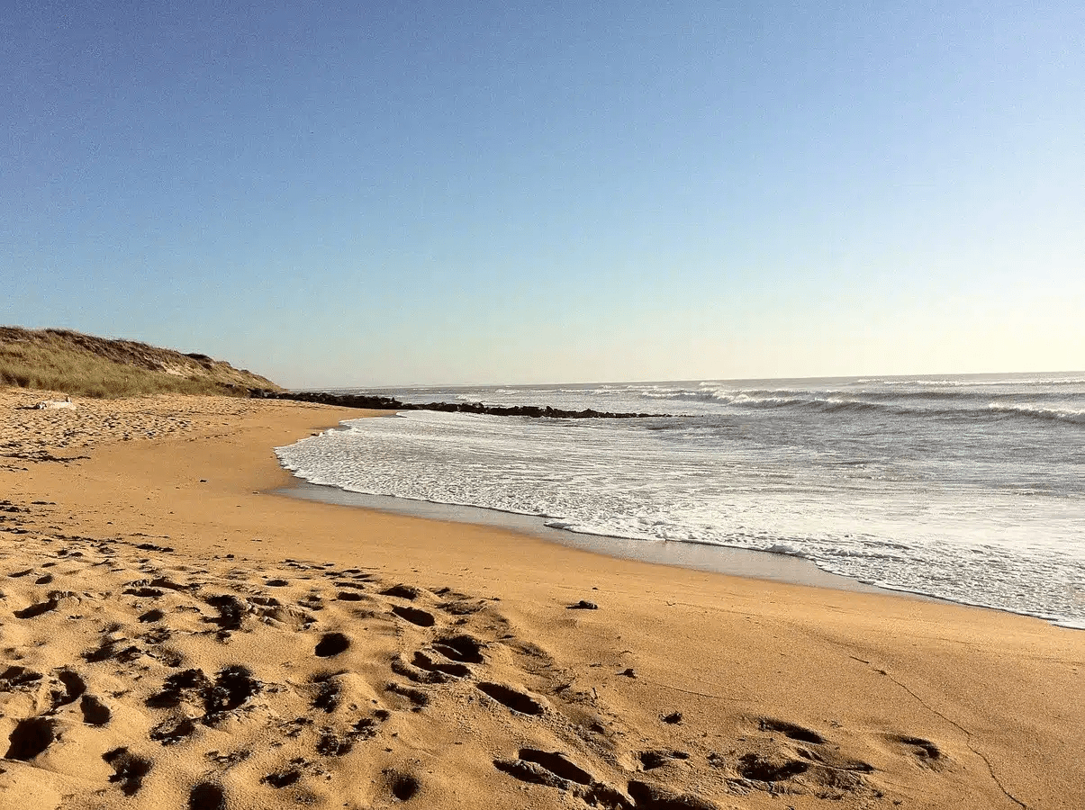 A scenery from Camping Les Sables Vignier Plage