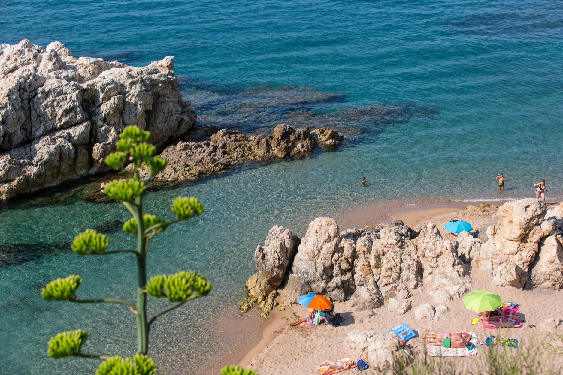 A scenery from Camping Roca Grossa