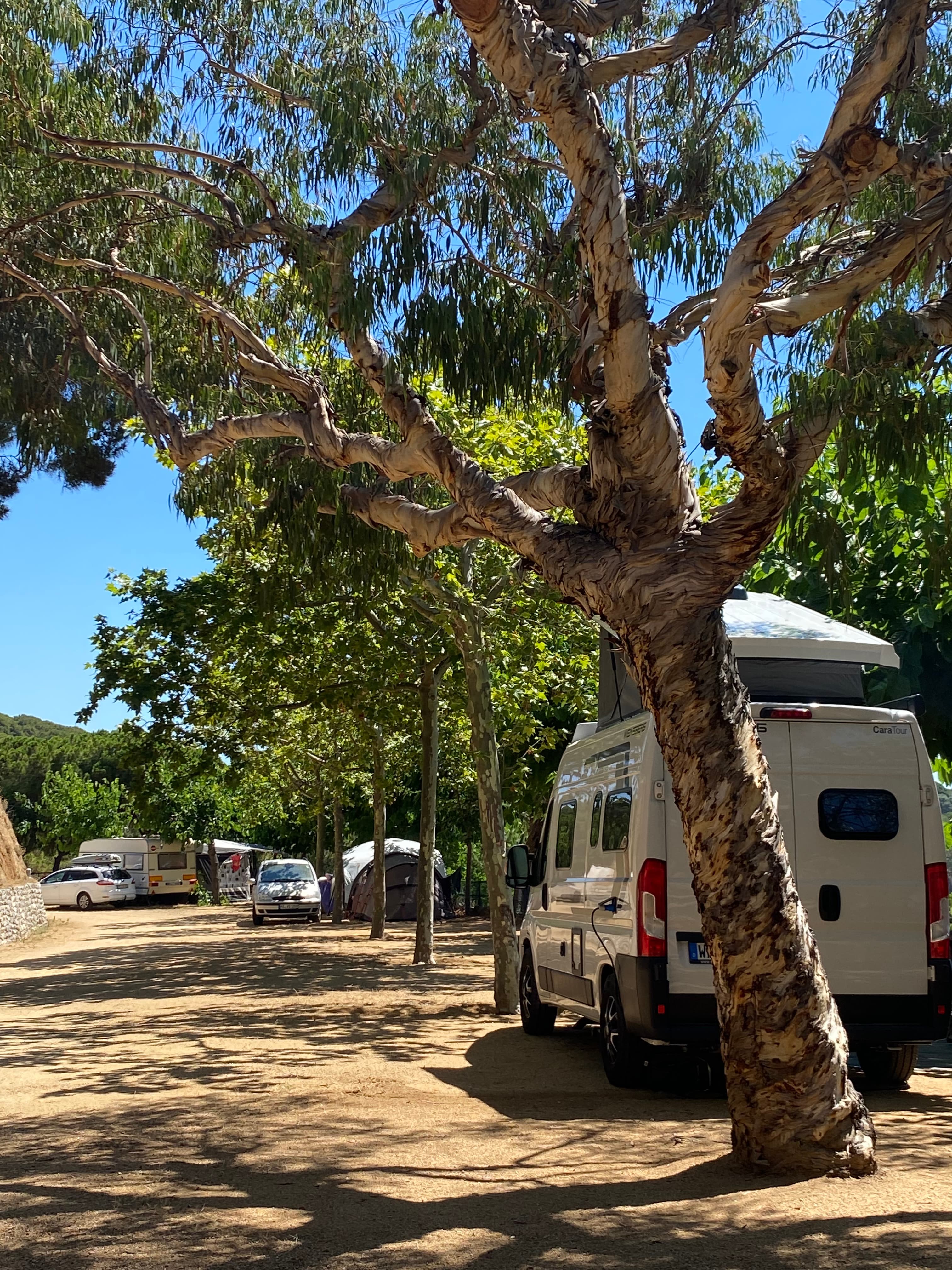 A scenery from Camping Roca Grossa