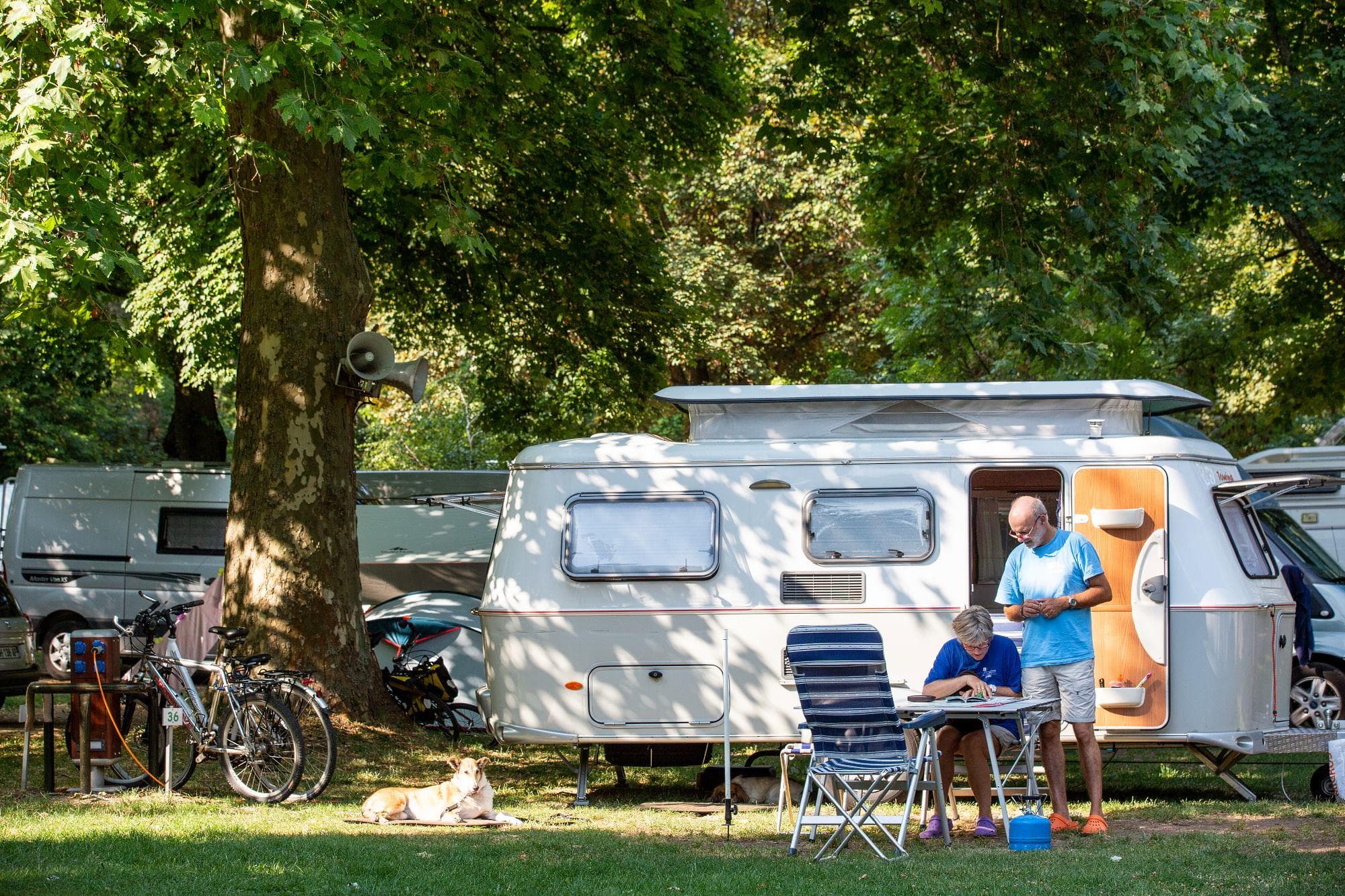 A scenery from Camping du Puy-en-Velay
