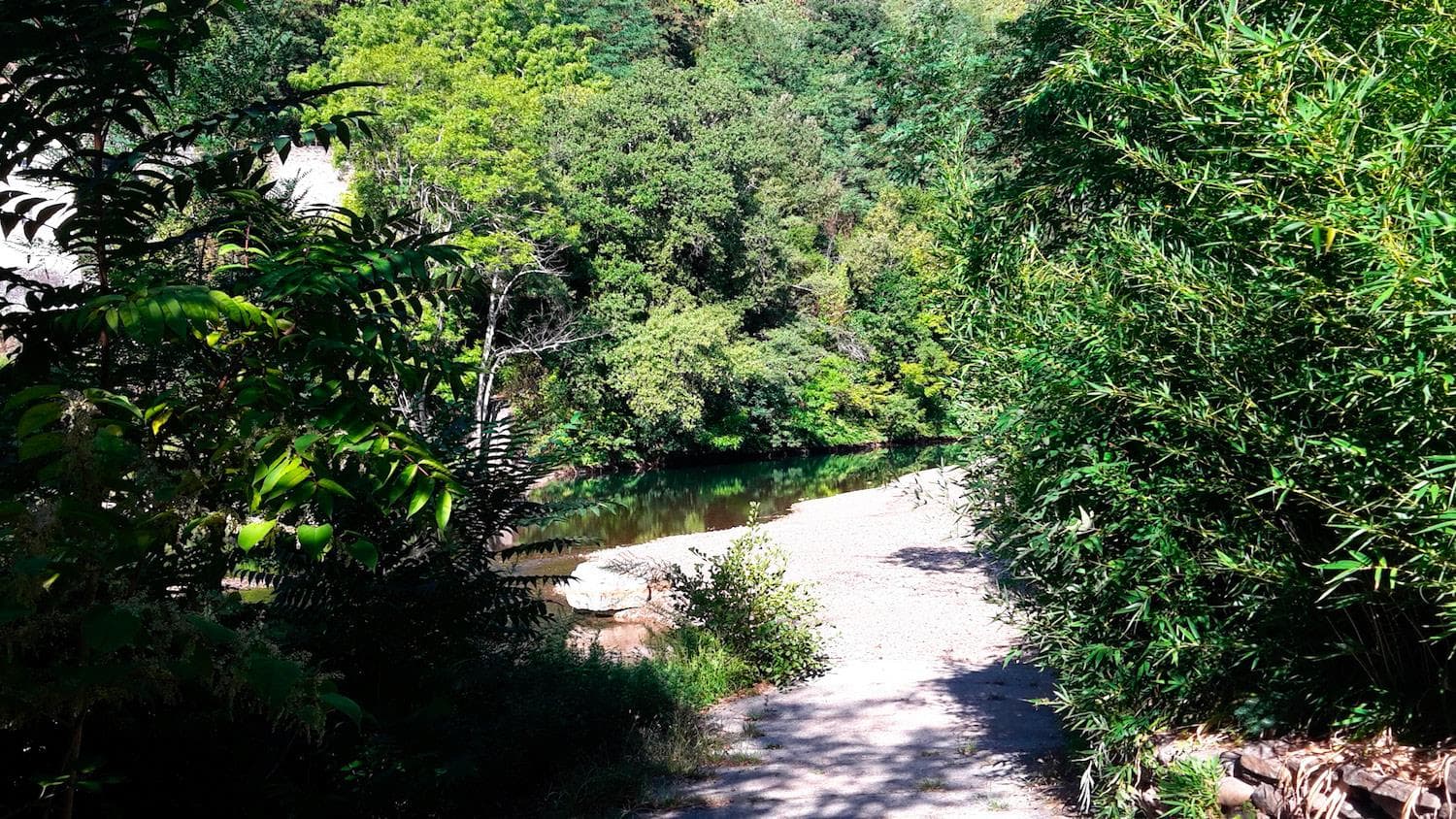 A scenery from Camping des Drouilhèdes