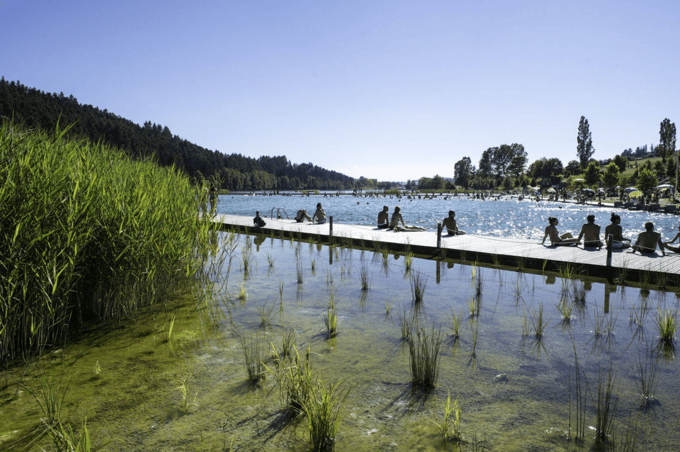 A scenery from Le Lac des Sapins