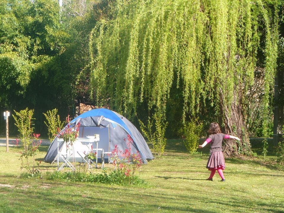 A scenery from Camping La Grenouille