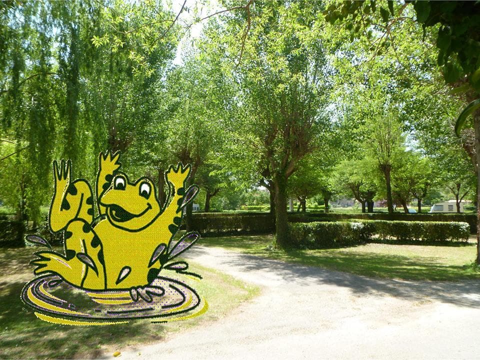 A scenery from Camping La Grenouille