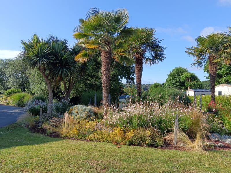 A scenery from Flower Camping International de la Hallerais