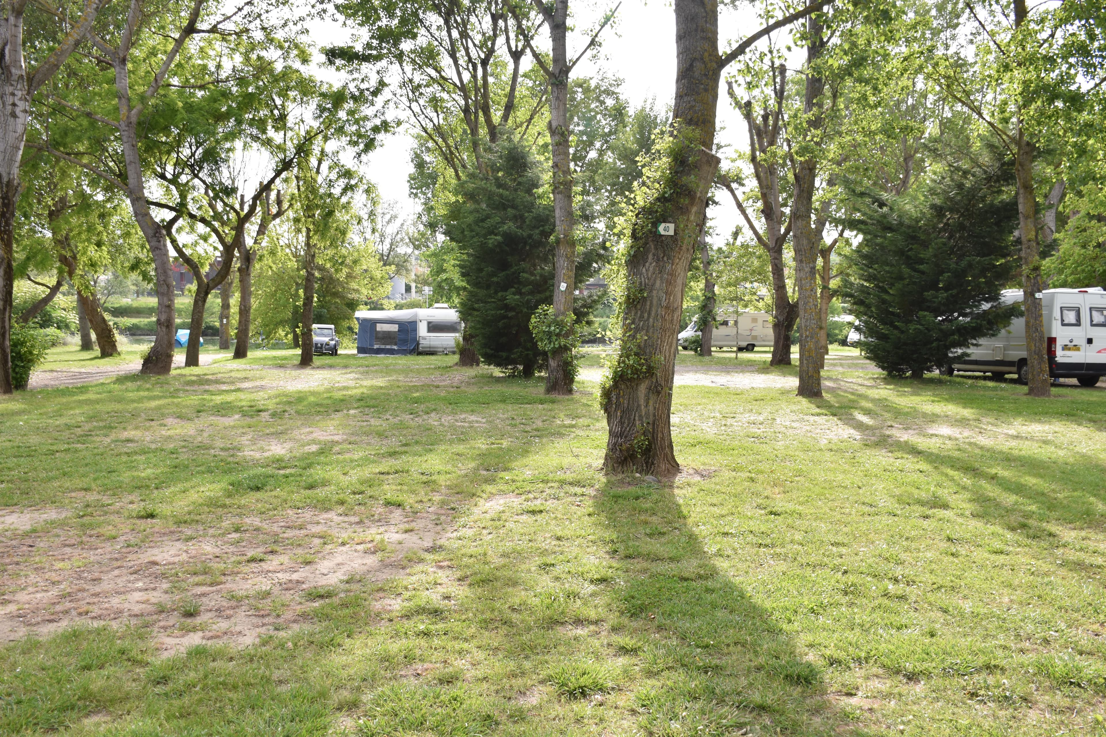 A scenery from Camping LARRIBAL