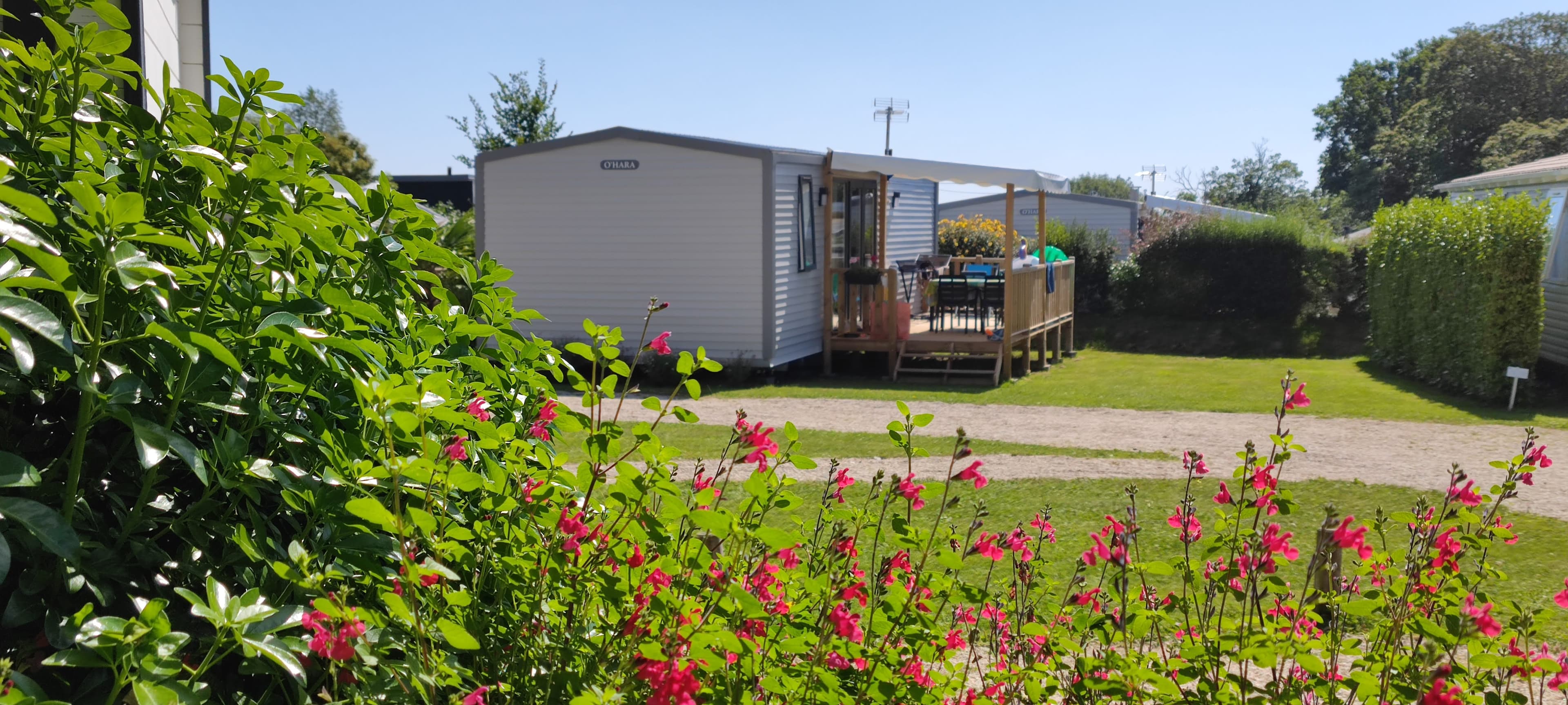 A scenery from Camping de Kersentic