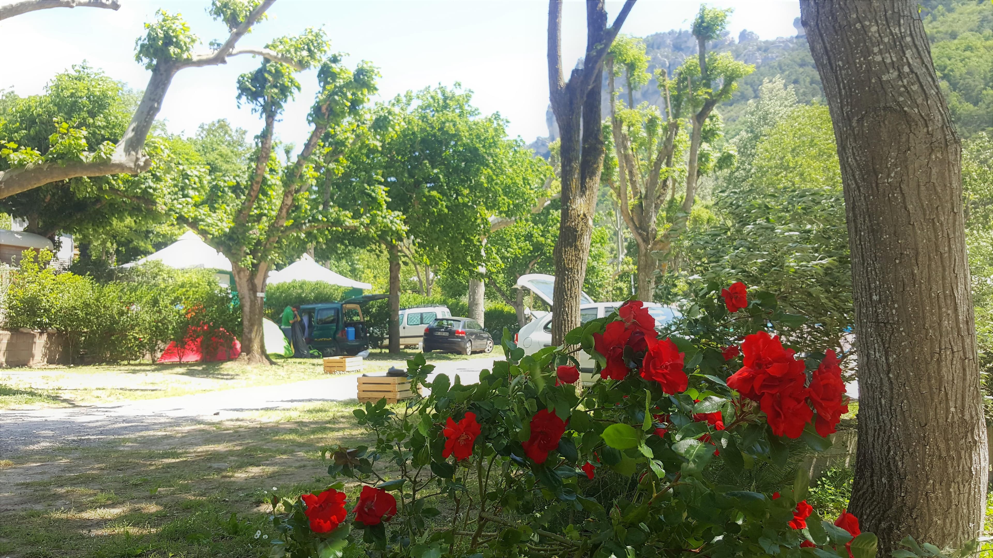 A scenery from Camping LA MUSE