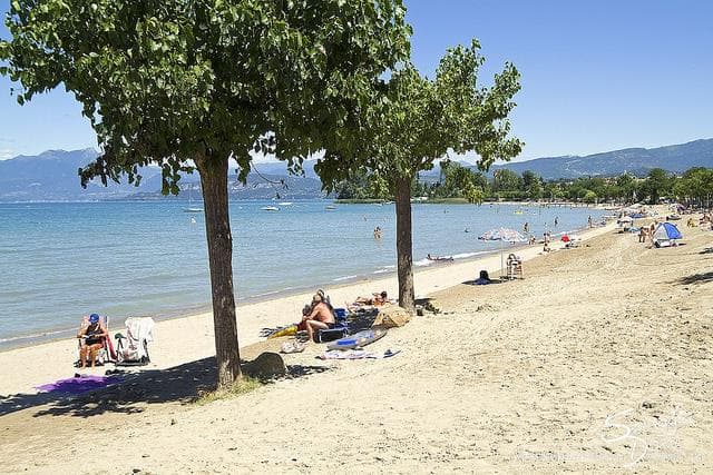 A scenery from Camping Spiaggia d'Oro