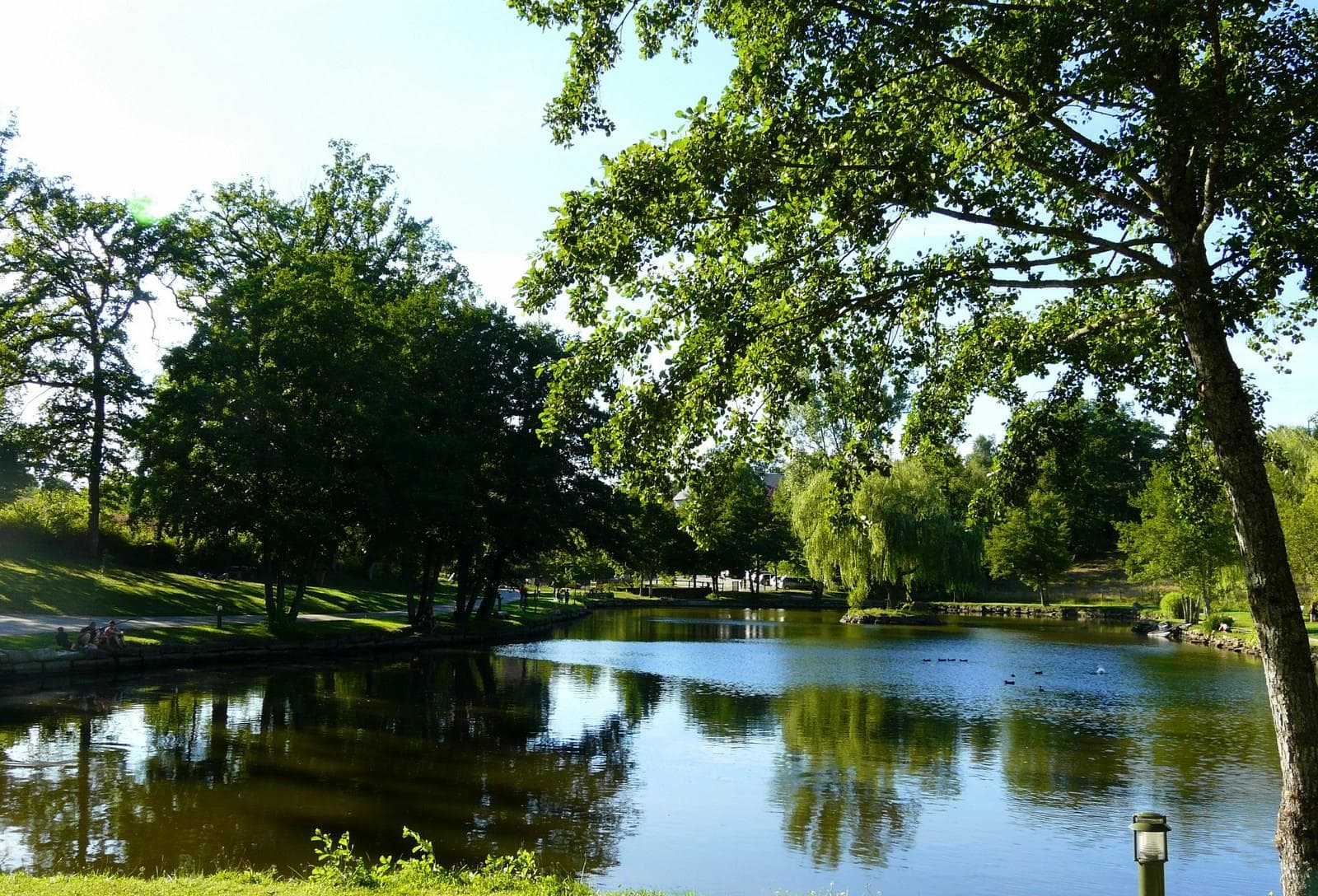 A scenery from Camping La Peyrade