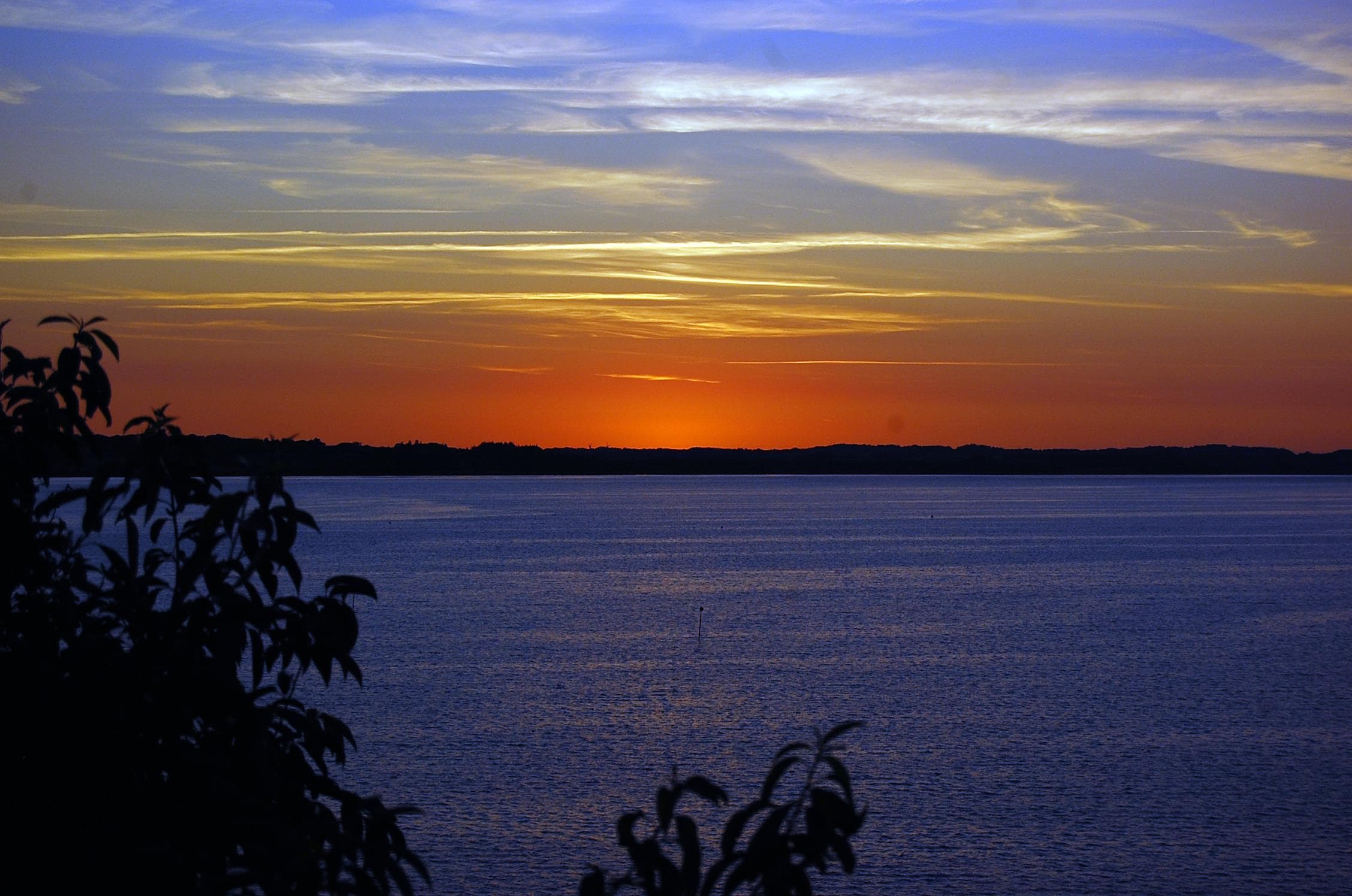 A scenery from Hjarbæk Fjord Camping