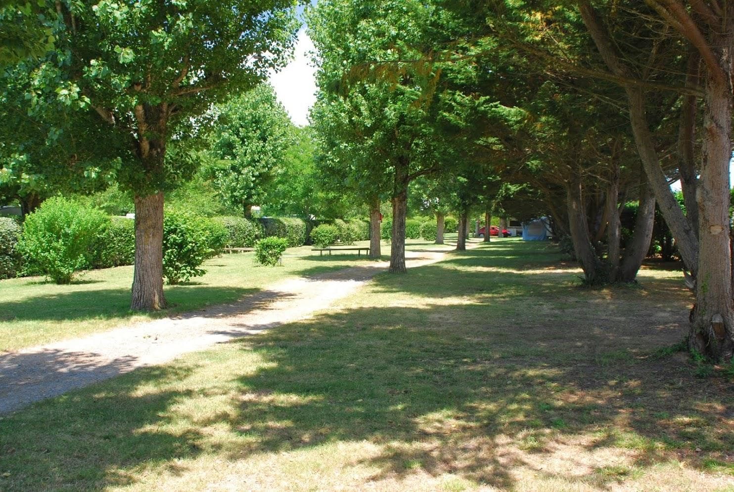 A scenery from Camping La Borderie