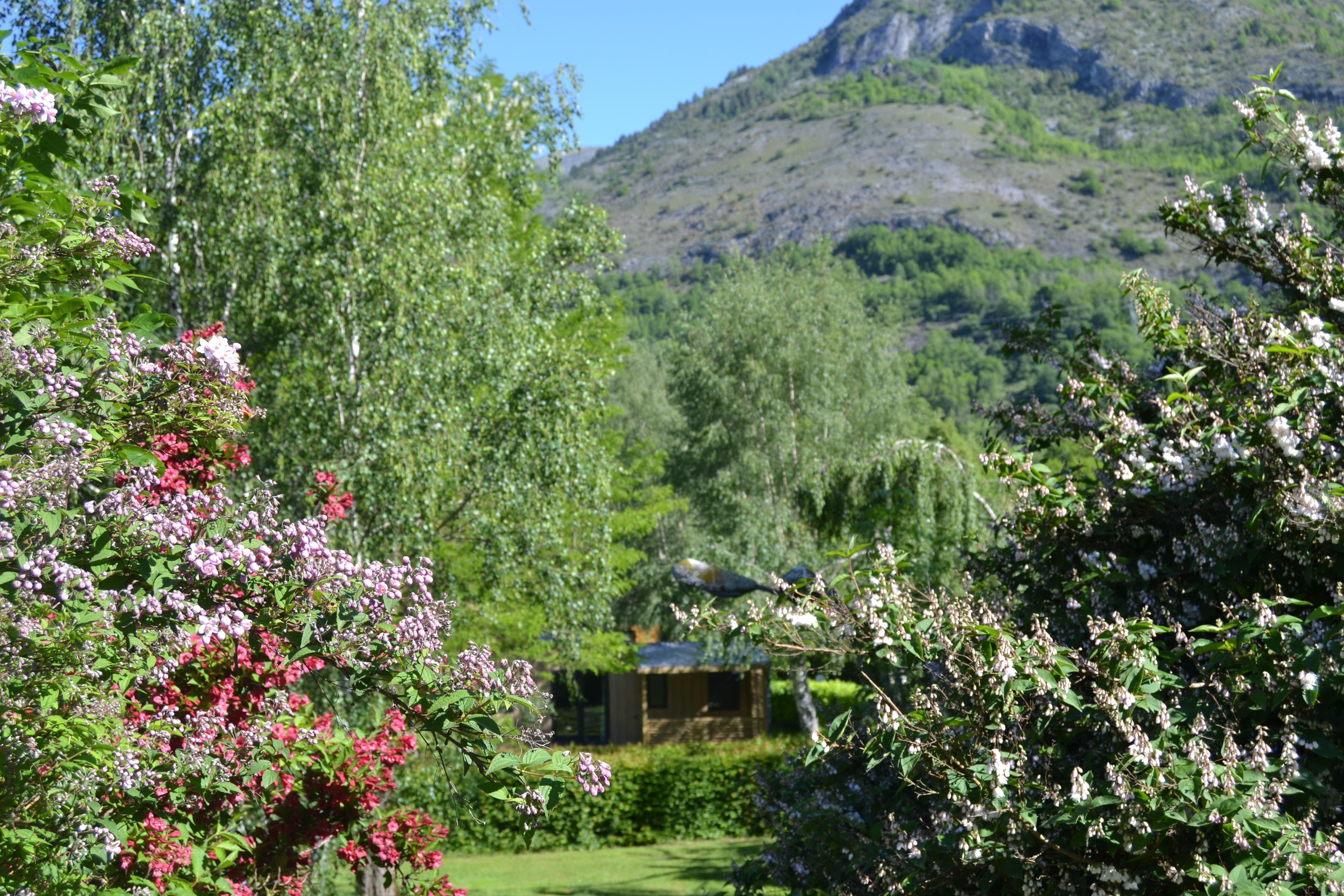 A scenery from Flower Camping LA BEXANELLE