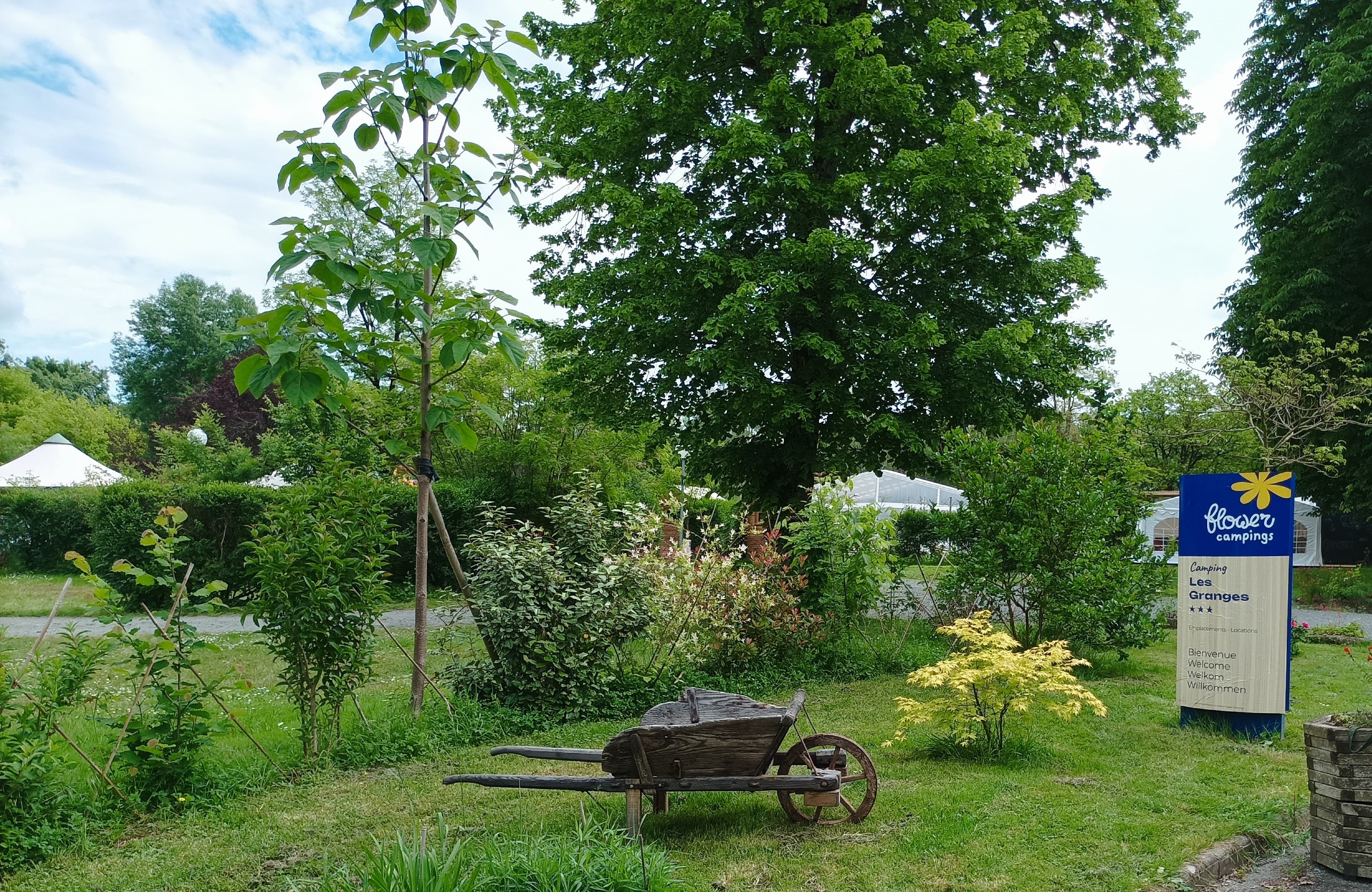 A scenery from Flower Camping Les Granges