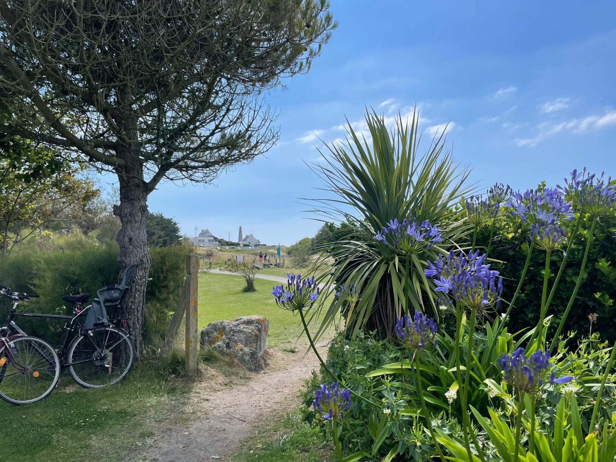 A scenery from Camping des Dunes