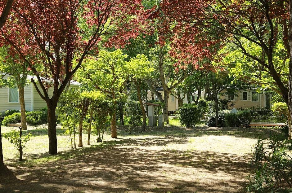 A scenery from Camping Le Rebau