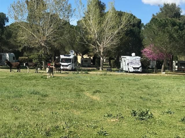 A scenery from Camping Les Casteillets