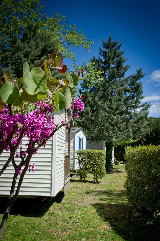 A scenery from Camping Les Casteillets