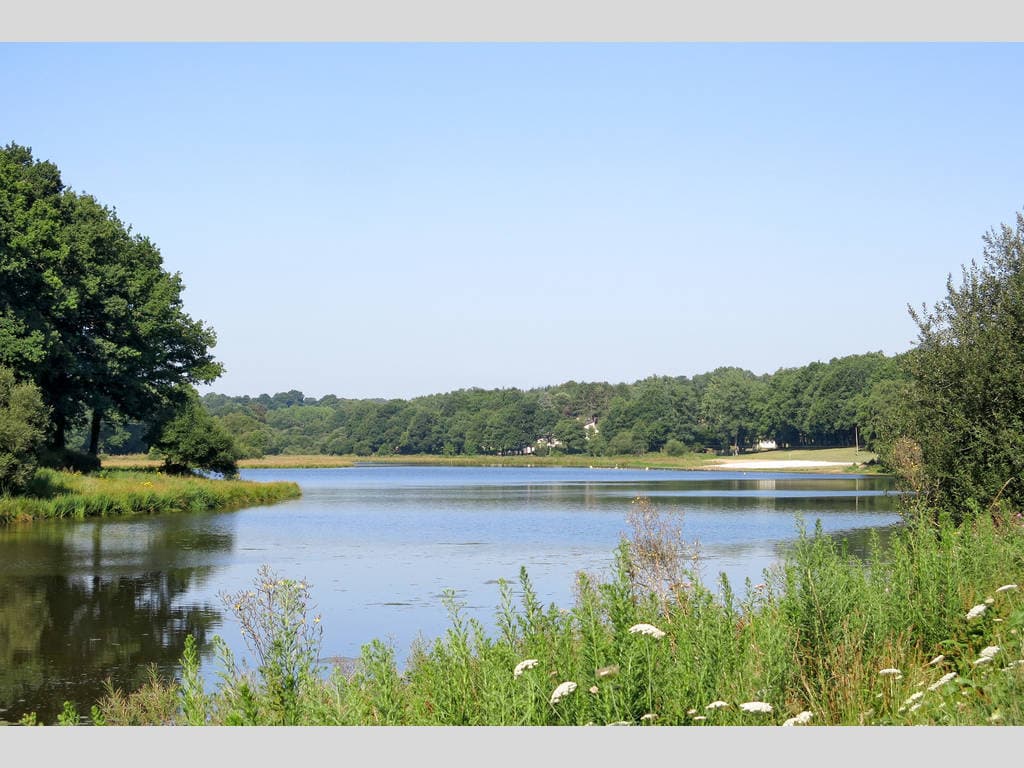 A scenery from Domaine du Moulin Neuf - Terres de France