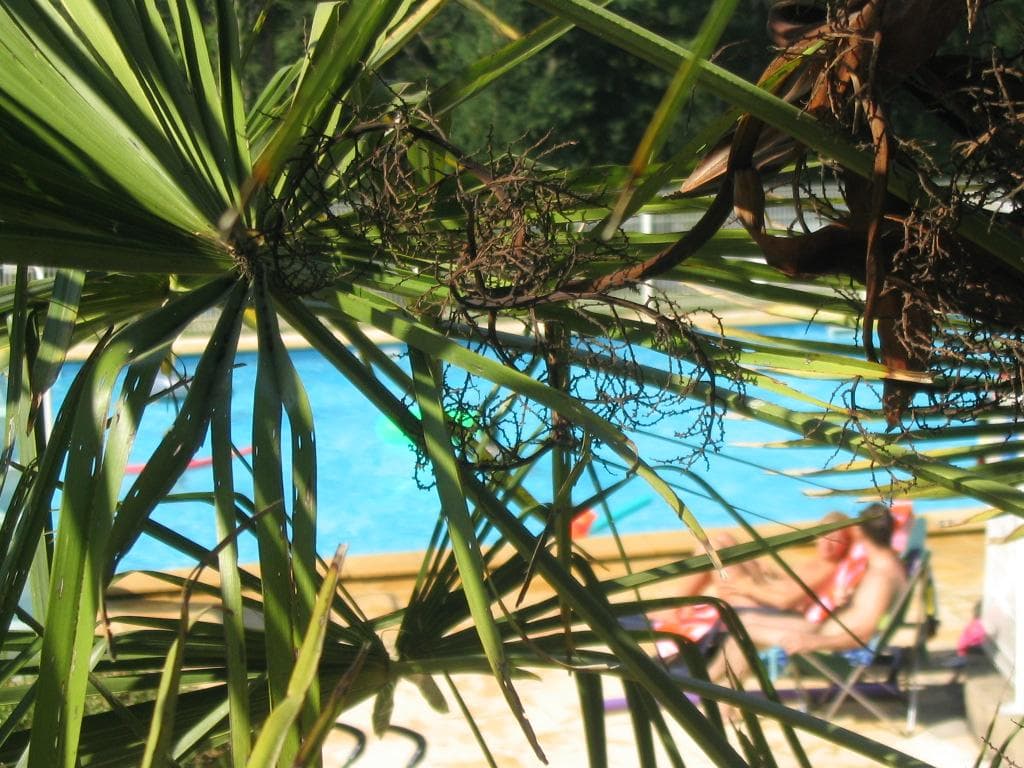 A scenery from Centre naturiste Terme d'Astor