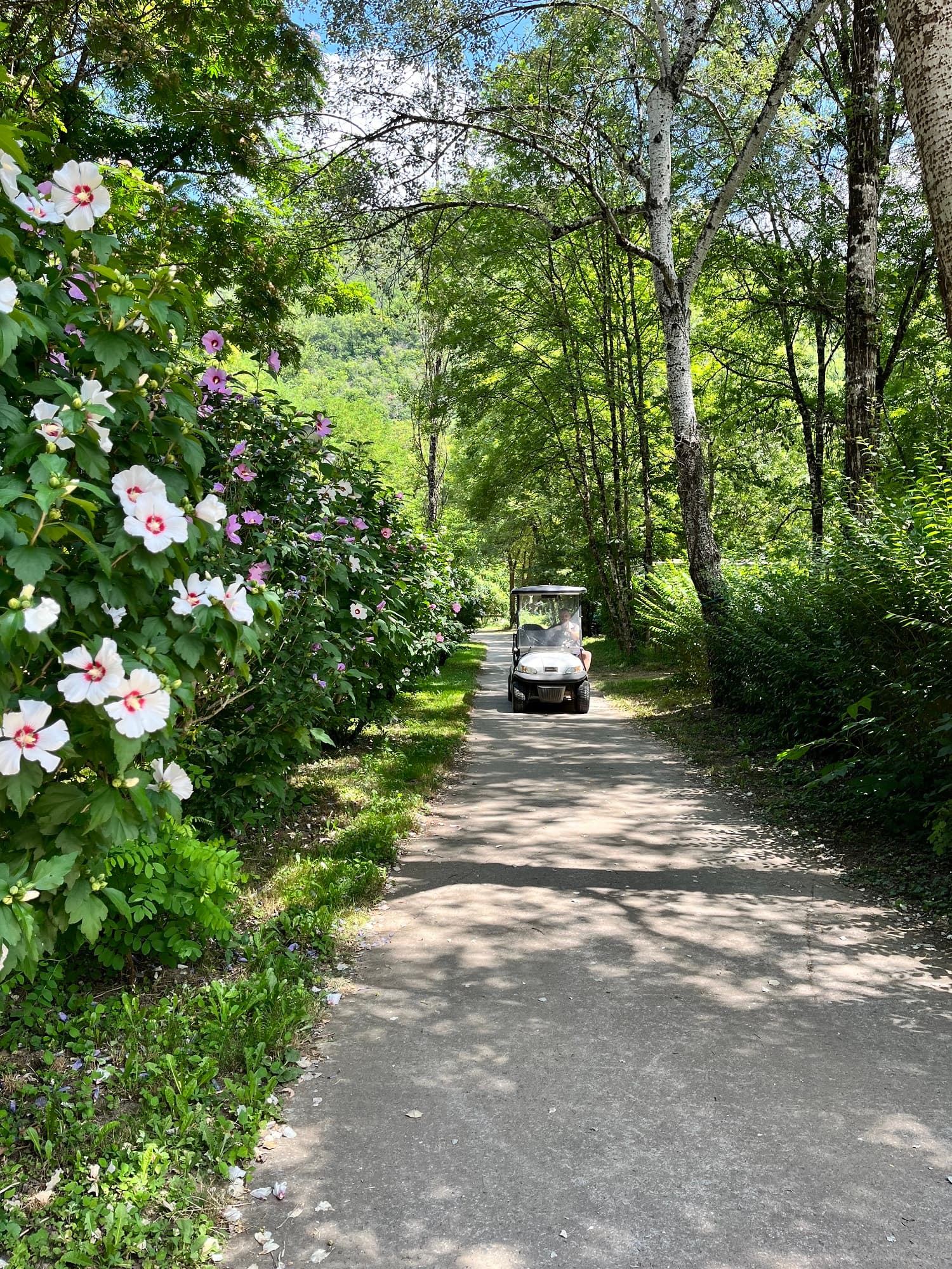 A scenery from Camping la Prade