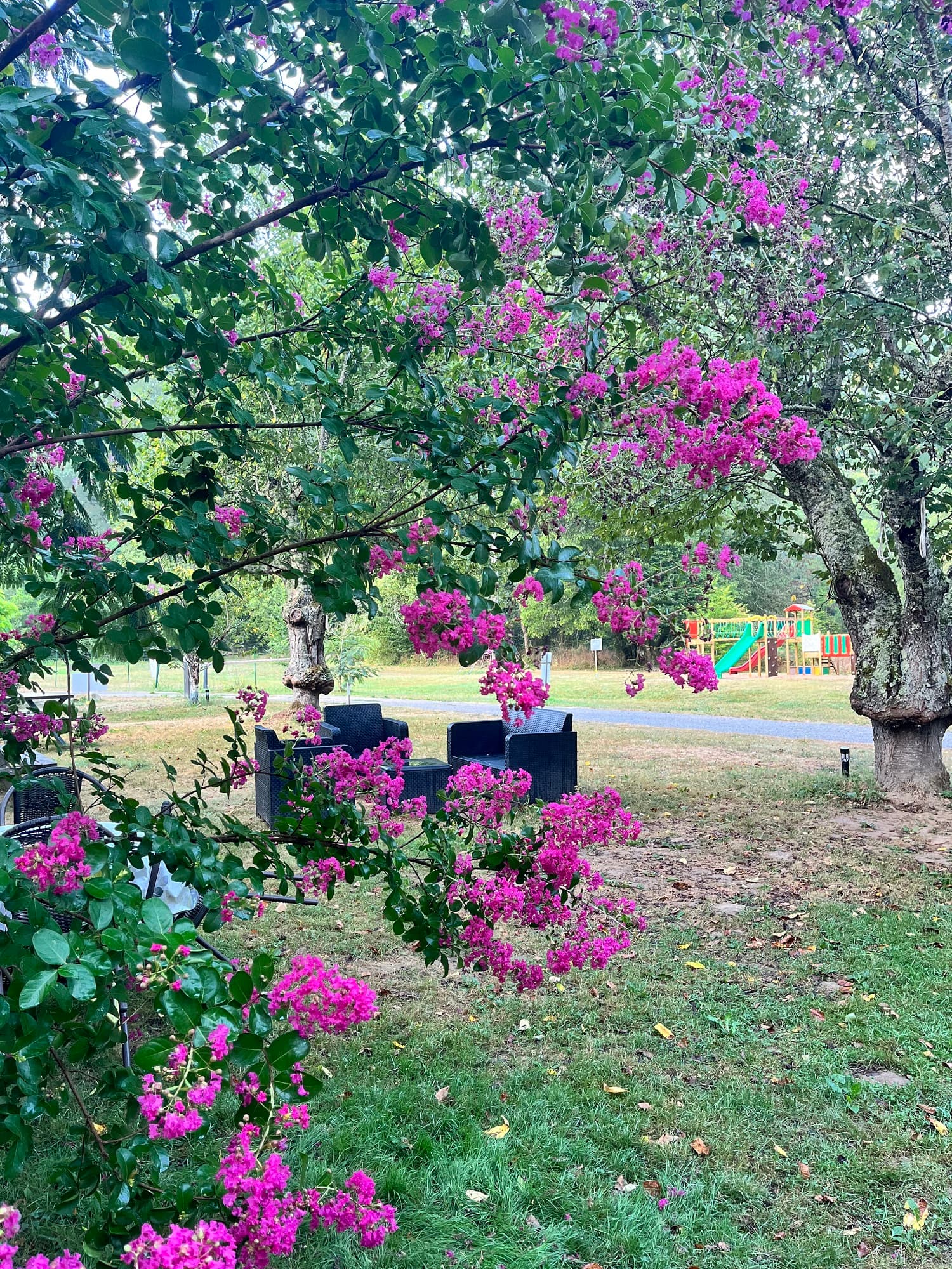 A scenery from Camping la Prade