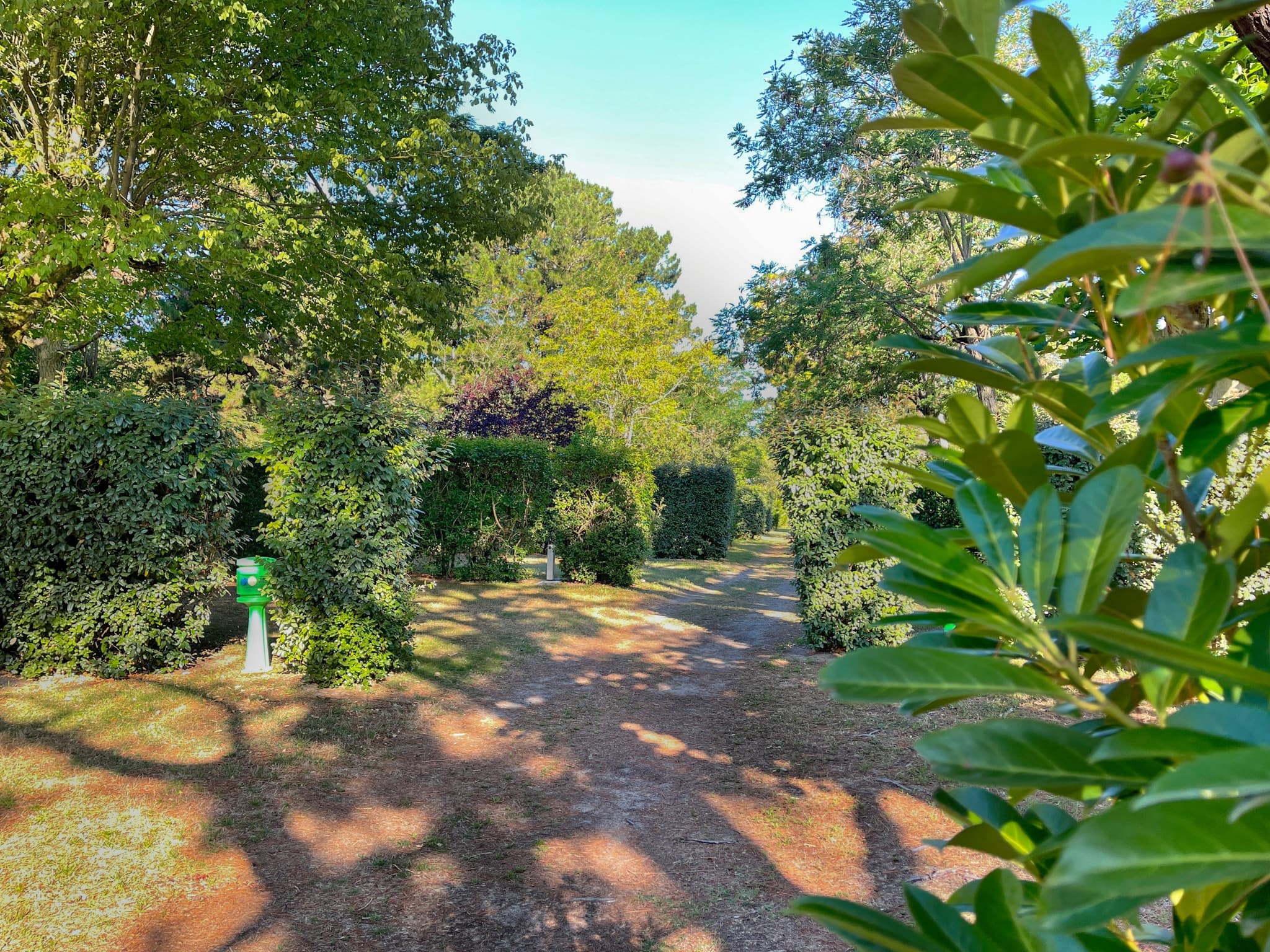 A scenery from Camping Les Amiaux