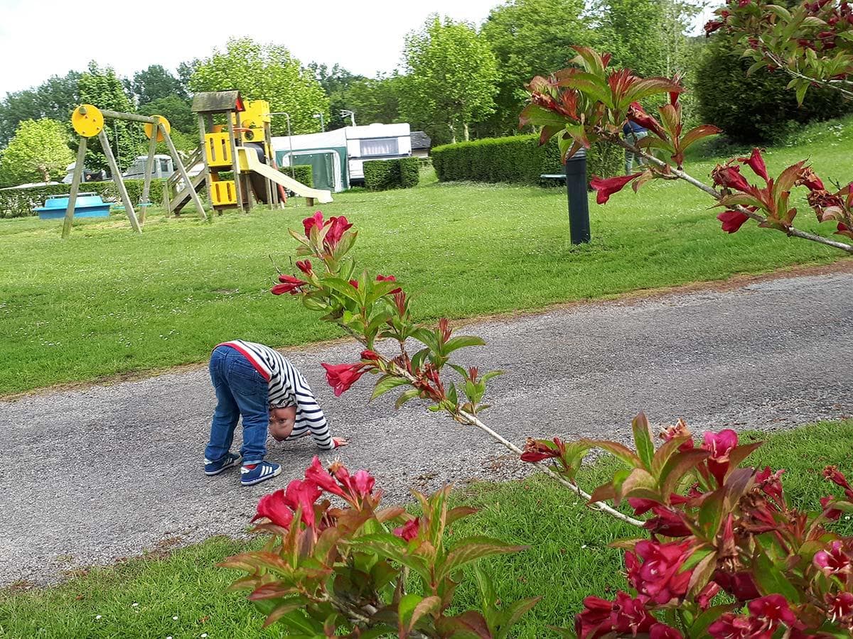 A scenery from Flower Camping Des 2 Rivières