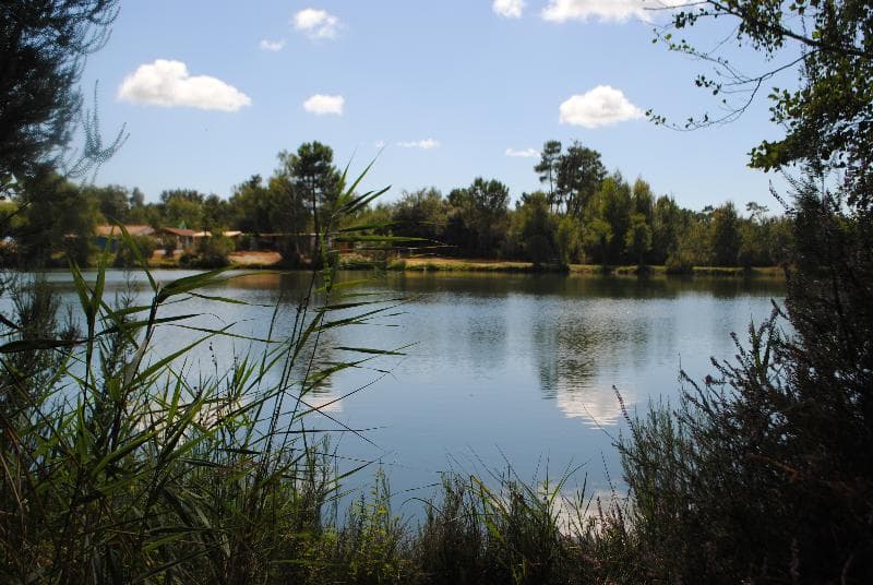 A scenery from Camping Les Étangs Mina