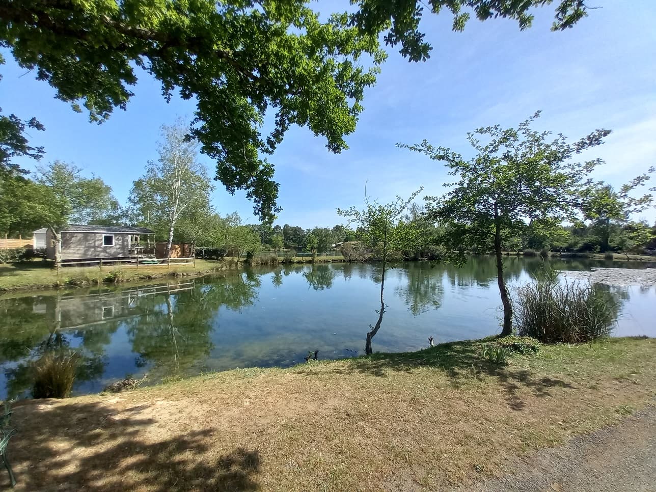 A scenery from Camping Les Étangs Mina