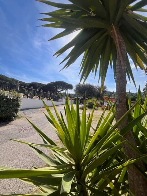 A scenery from Camping la Provençale
