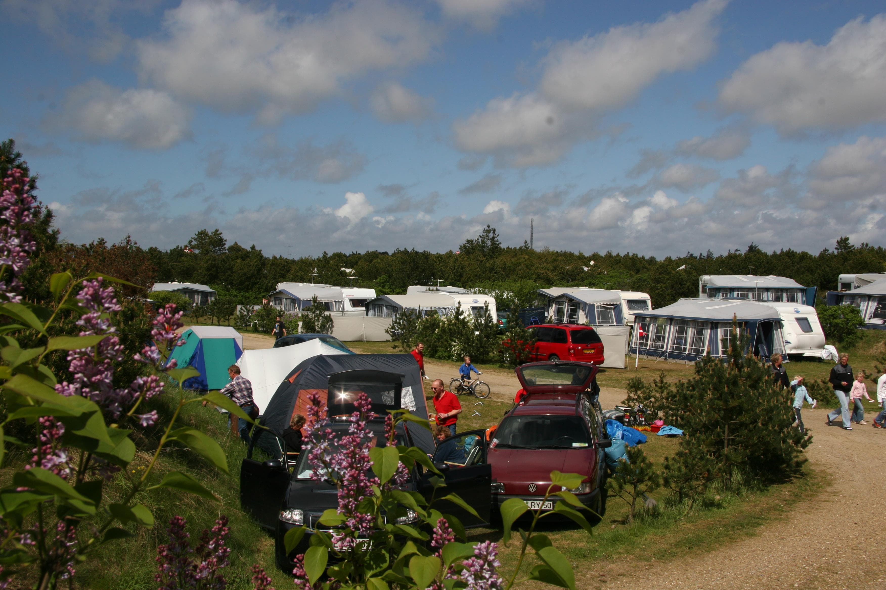 A scenery from Nymindegab Camping