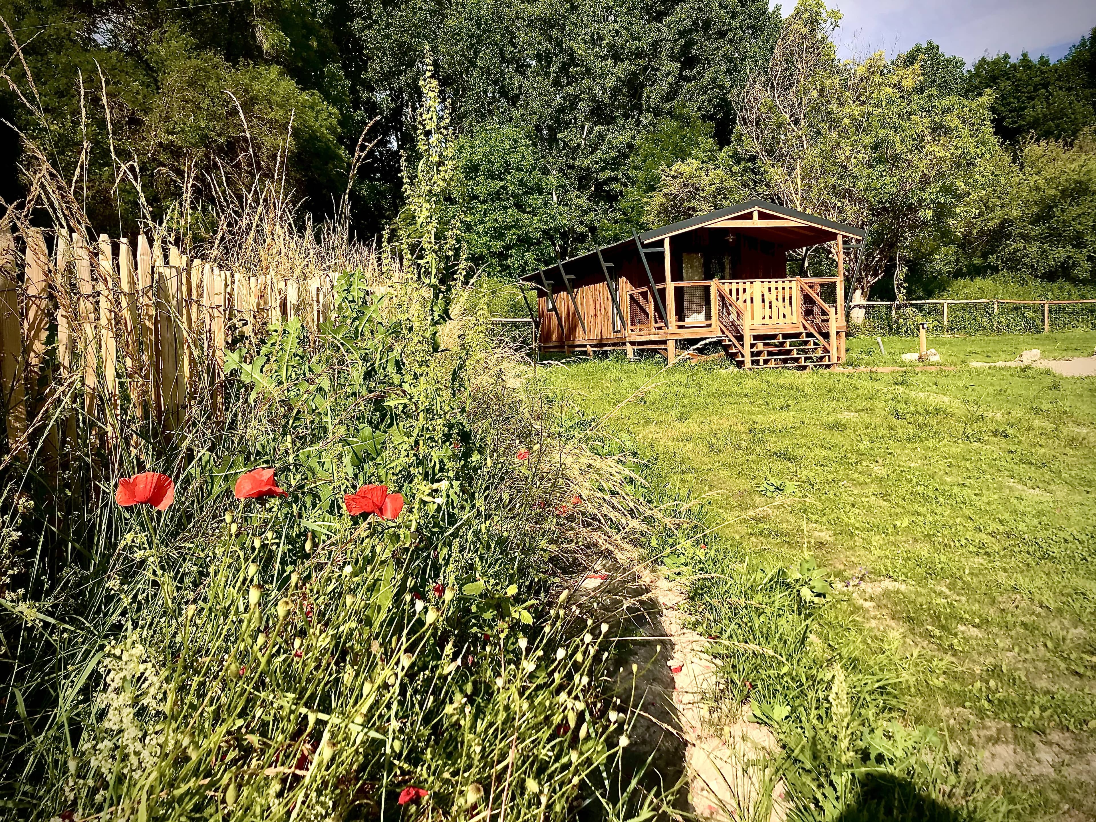 A scenery from Flower Camping Le Soleil des Bastides