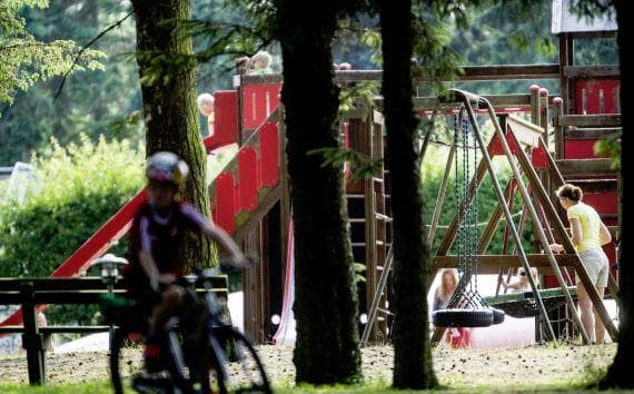 A scenery from Ristinge Camping