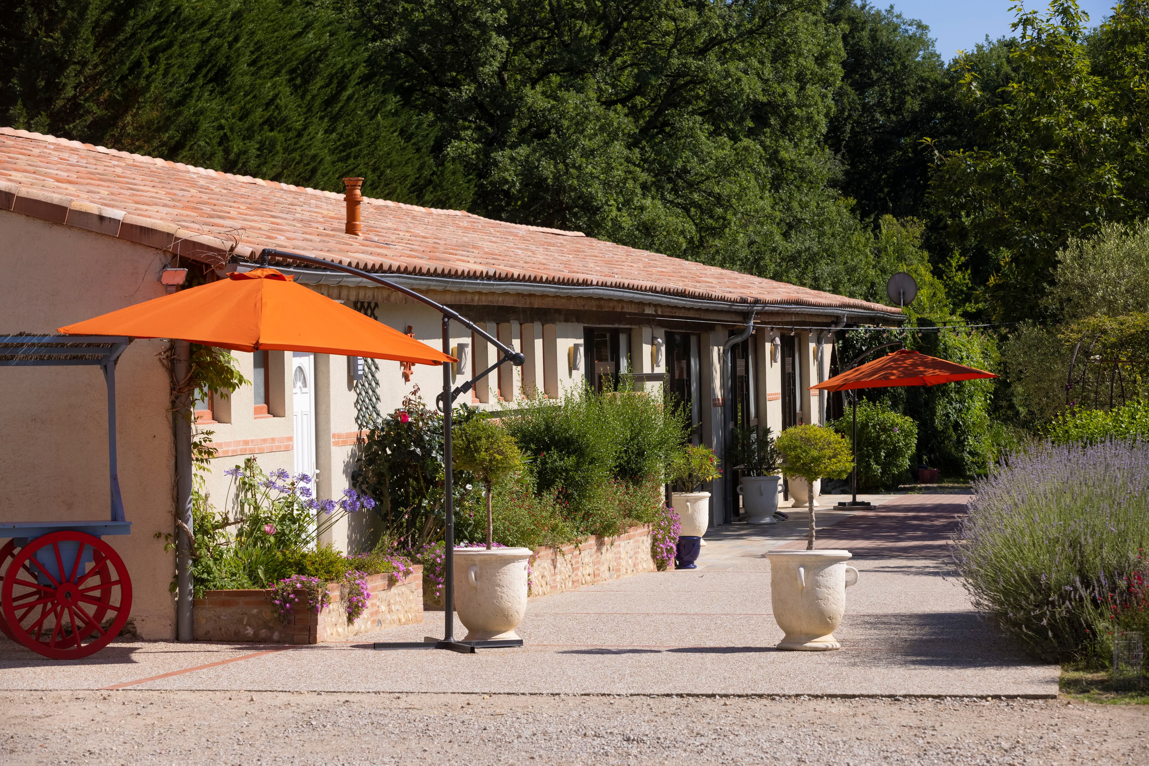 A scenery from Camping  de Rousieux