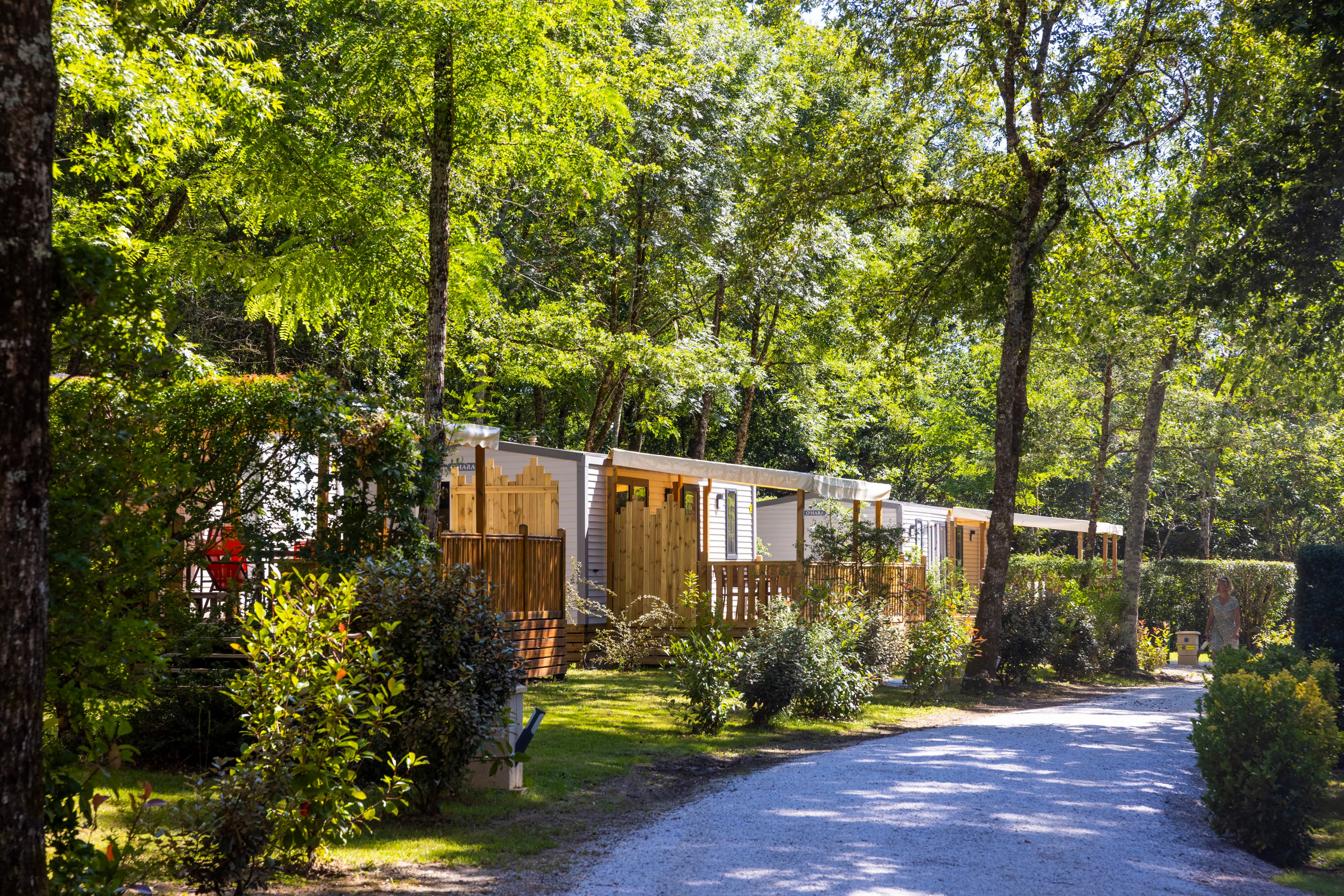 A scenery from Camping  de Rousieux