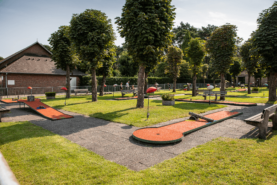 A scenery from Camping Goolderheide