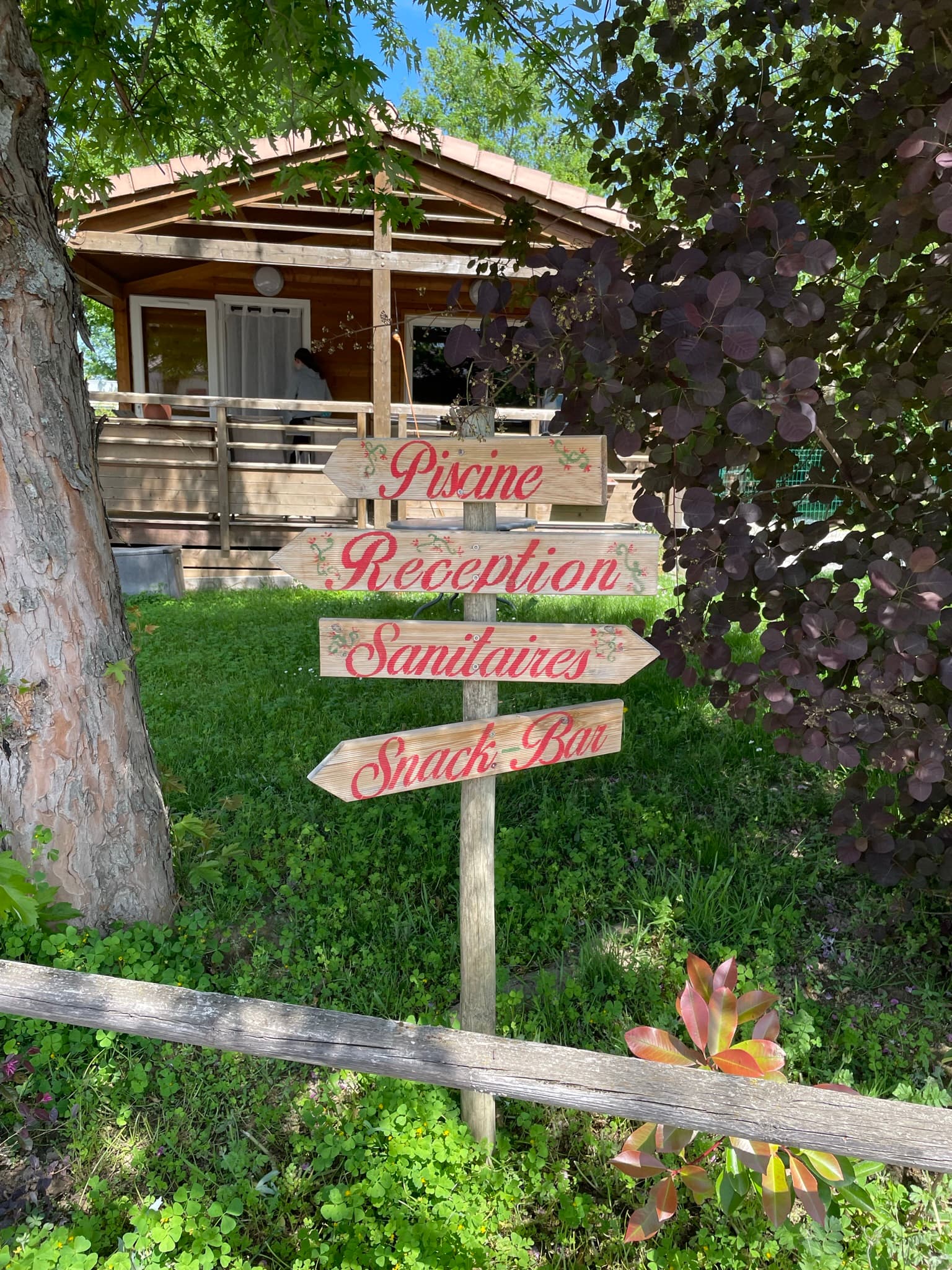 A scenery from Flower Camping Saint Martin