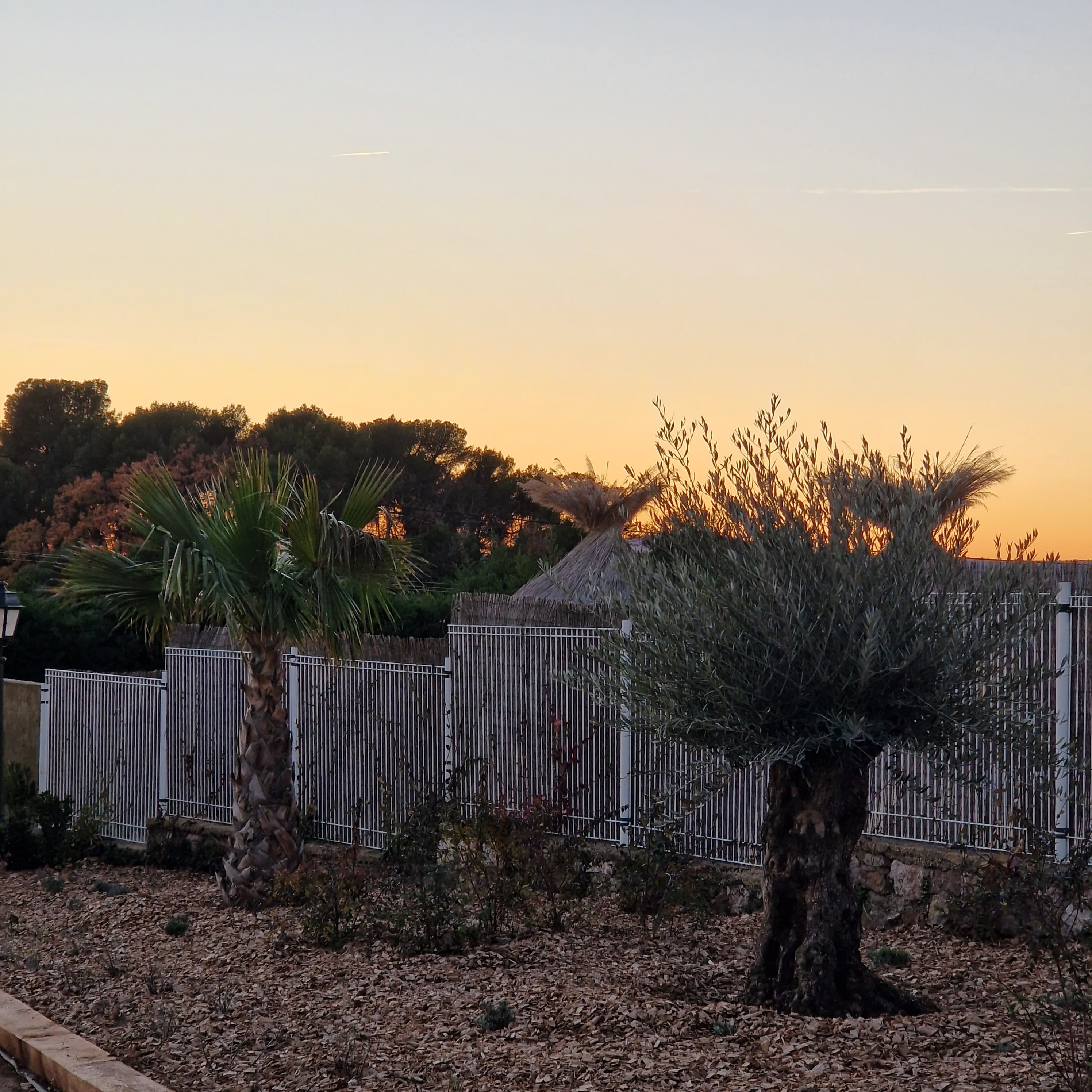 A scenery from Camping L'Emeraude du Verdon